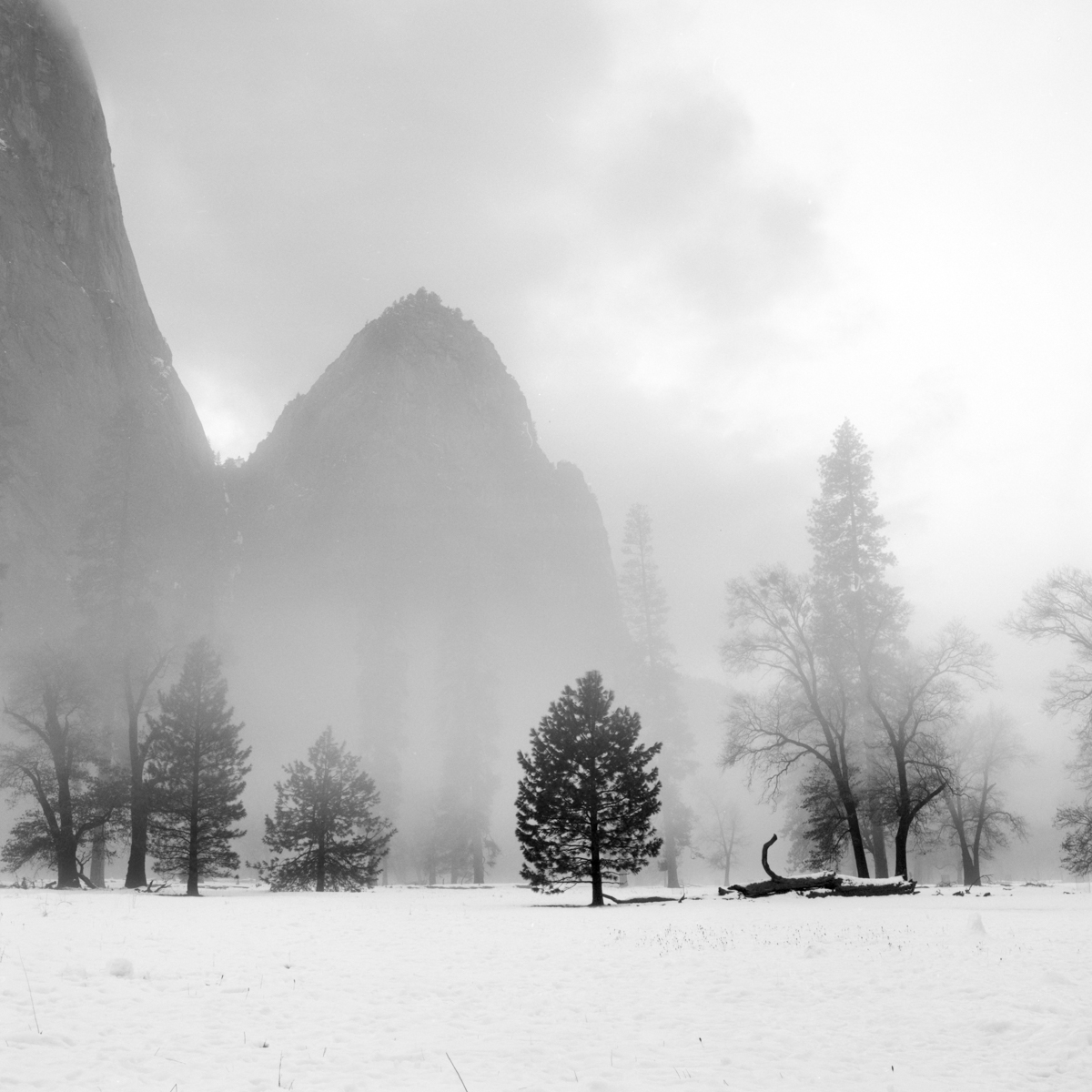 'SLIPPERY SLOPES'