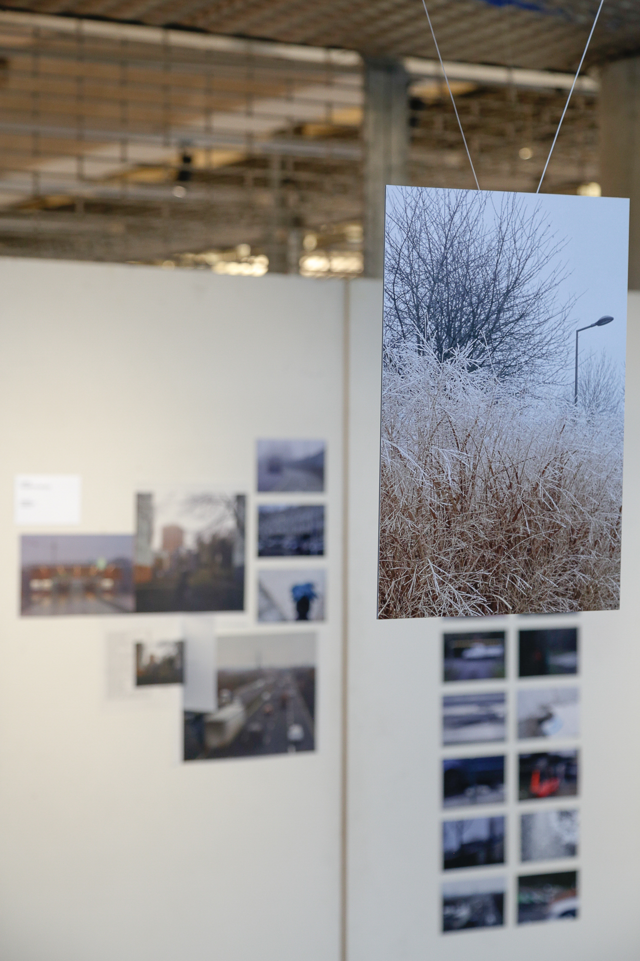 Exposition des différentes séries de photo