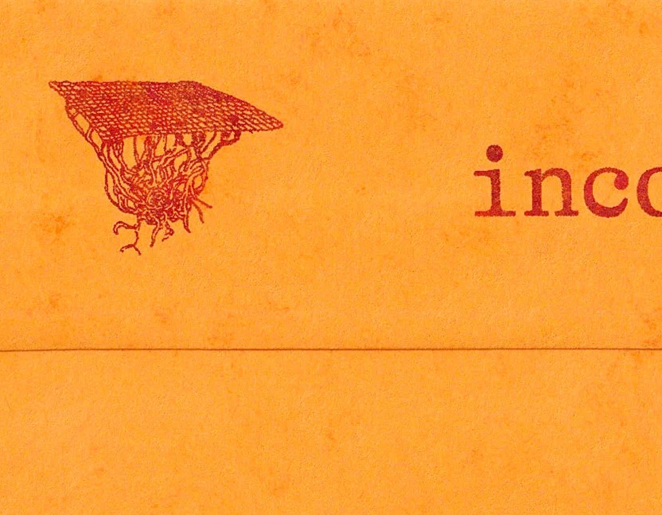 Wormhole illustration detail