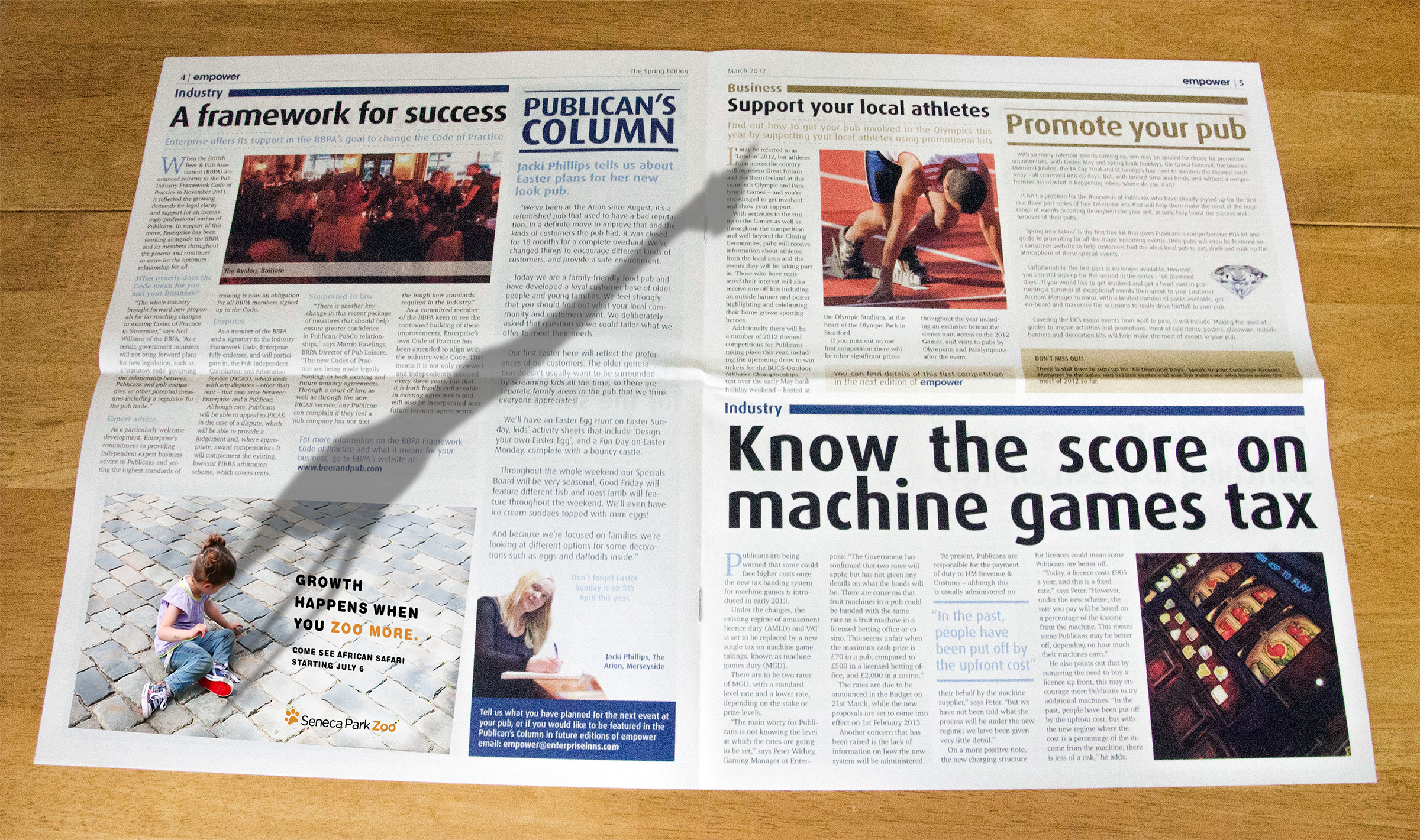 Rochester Zoo Pitch / Trade Ad