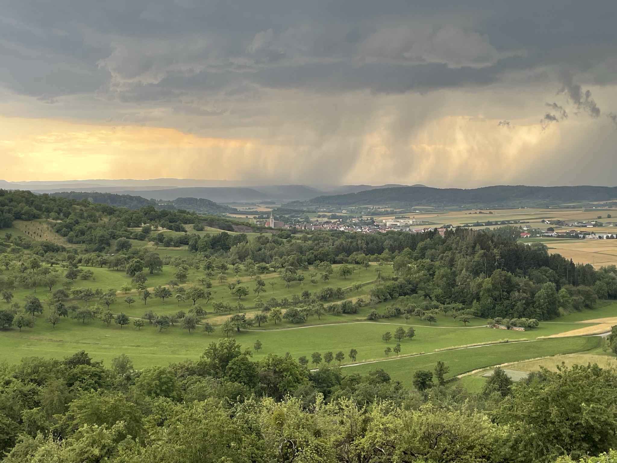 Gewitterguss in Breitenholz