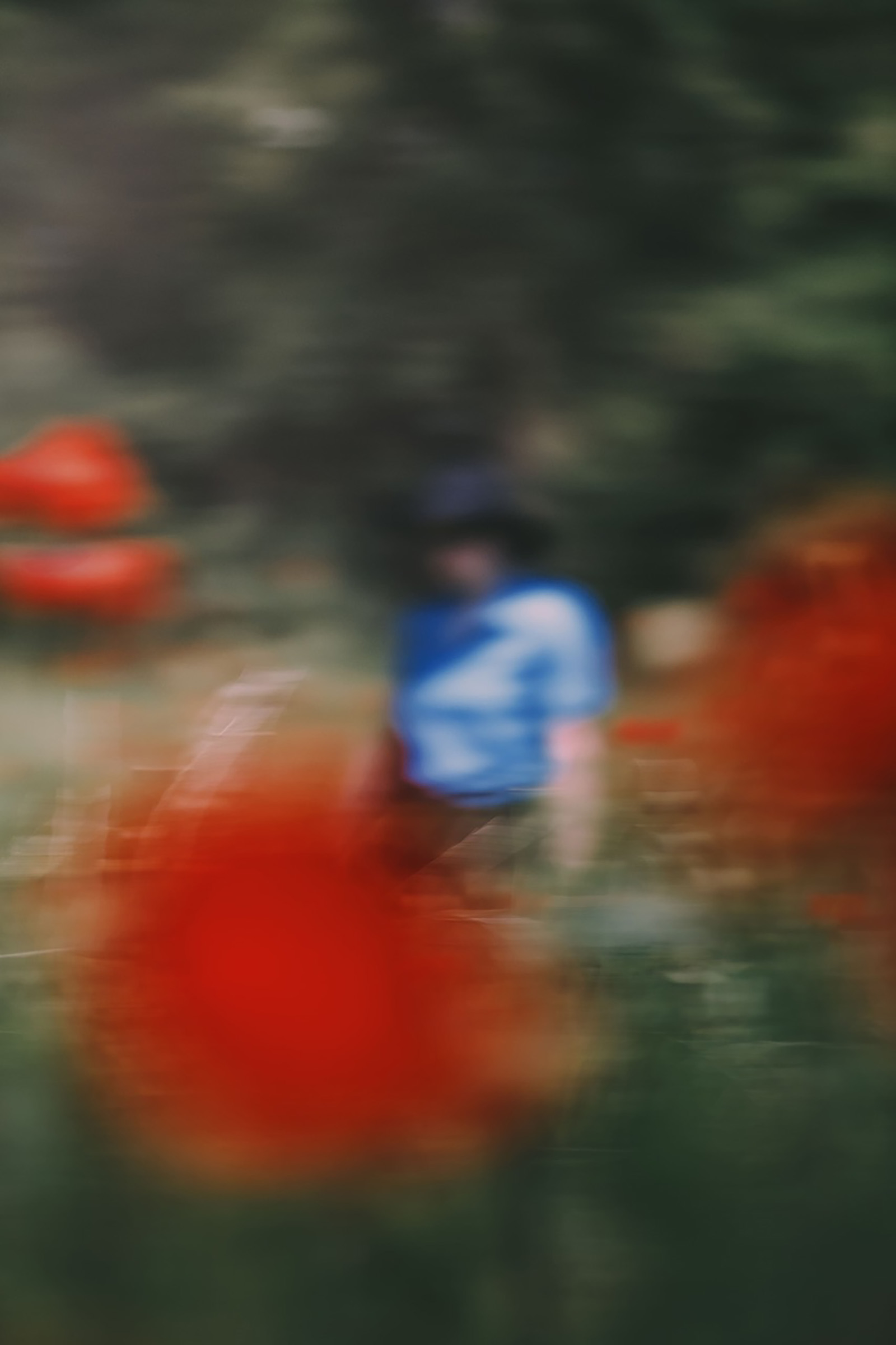 © Jonathan BERTINDame Aux Coquelicots, 2023