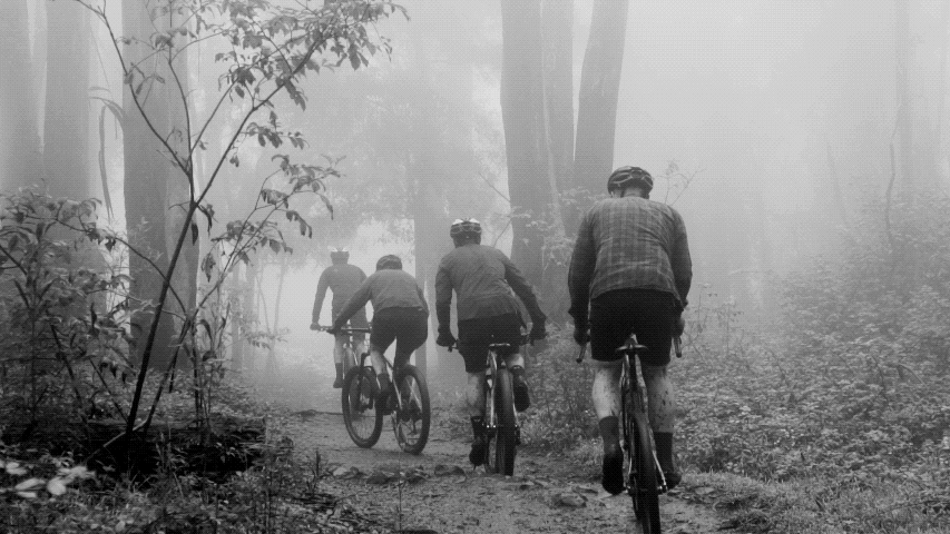 Quiet up to the forest  2021 video 