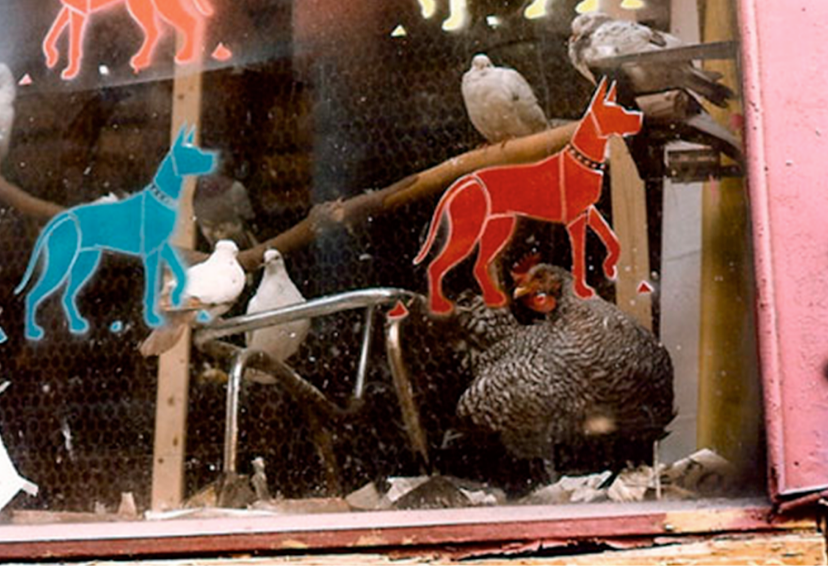 Animals in the City Show, 1980.   Christy Rupp / Anton Van Dalen, ABC No Rio, No Dinero. 