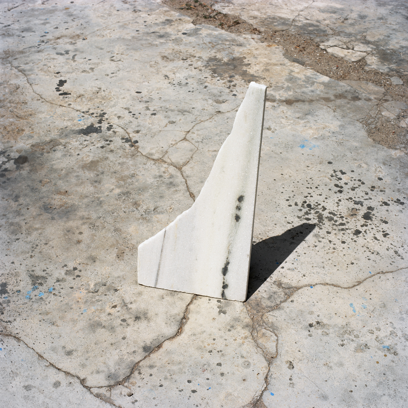 Fragment, Ibo Island, 2014