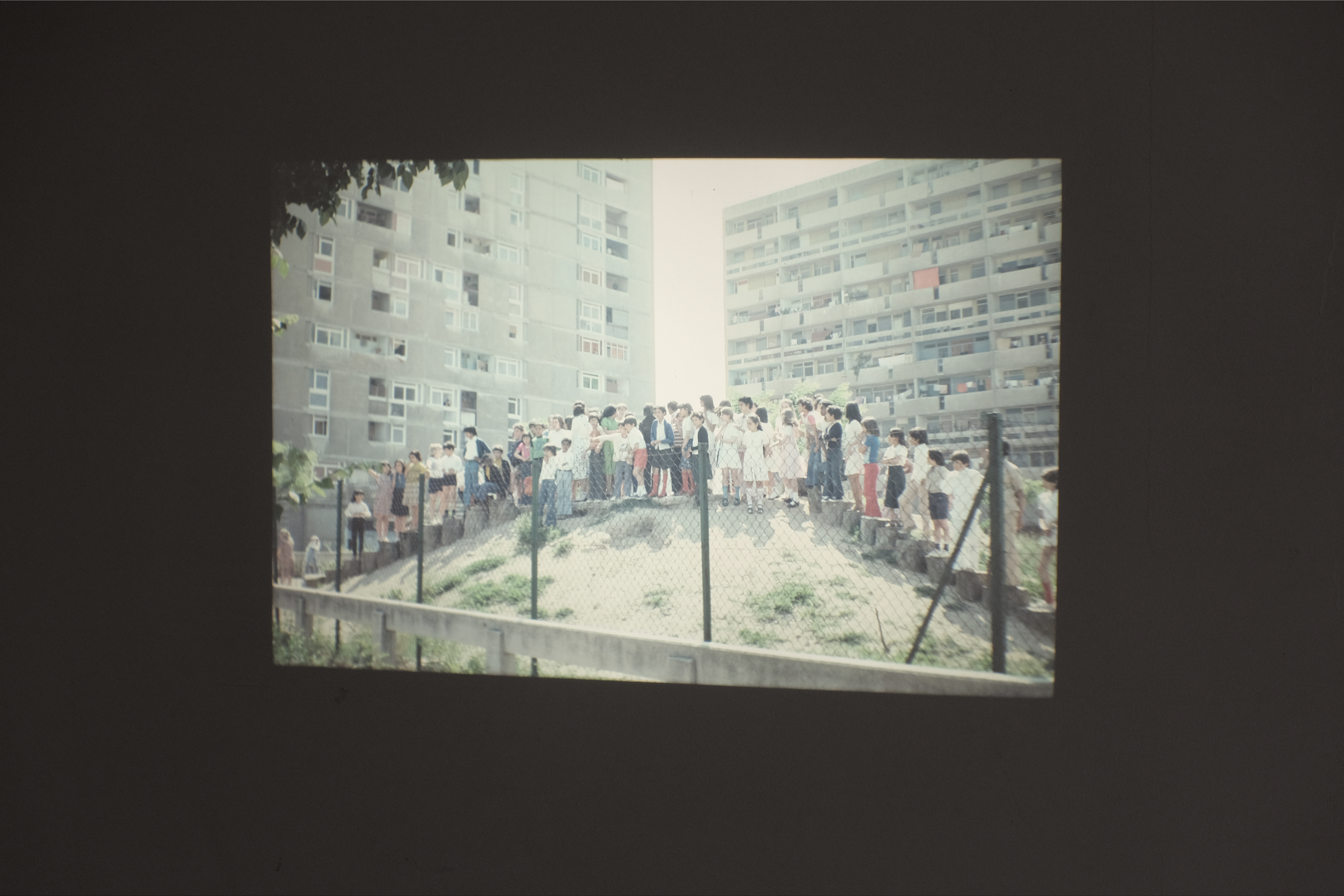 Collectives narratives