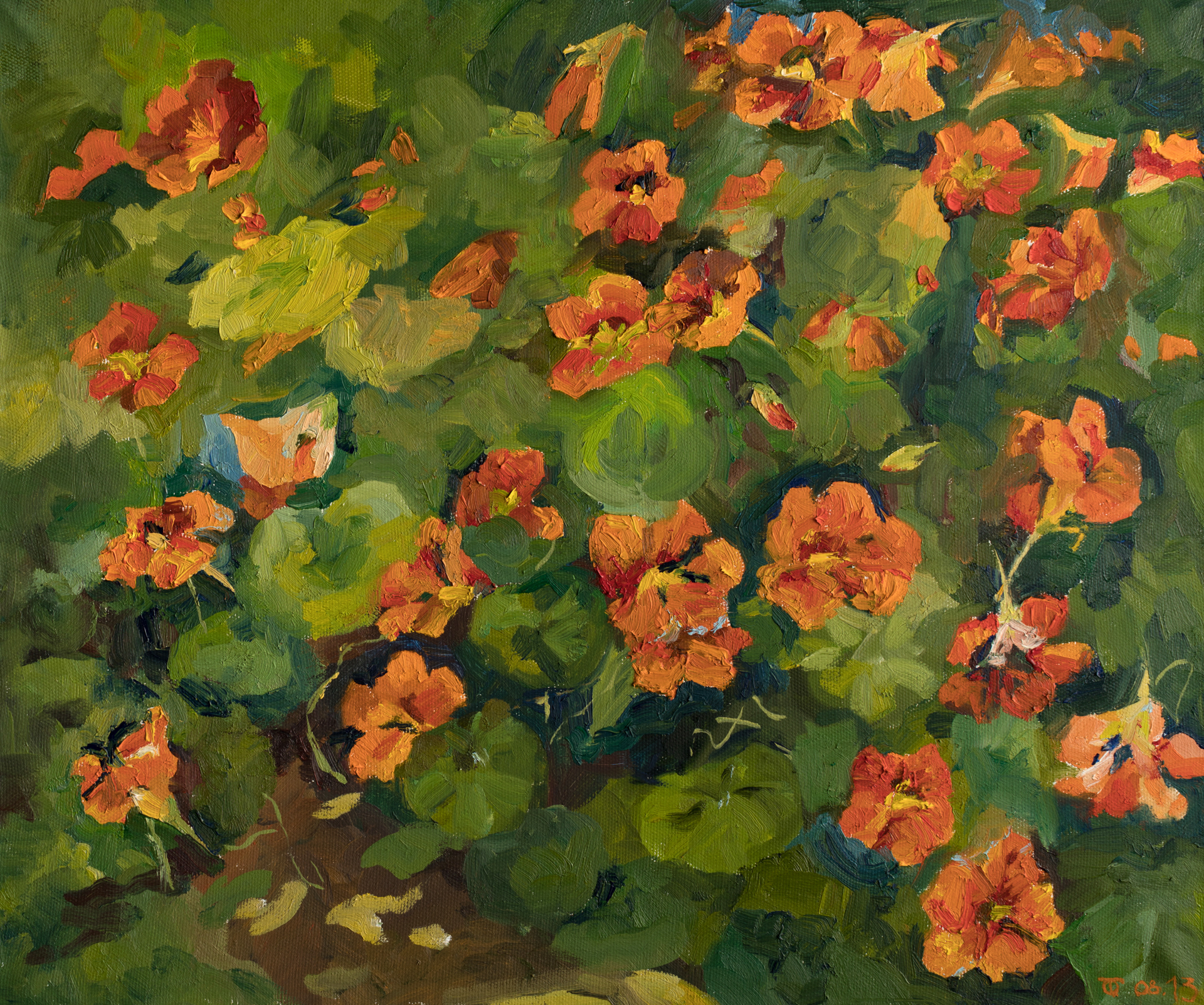 Nasturtiums  2013  Oil on canvas  70x50