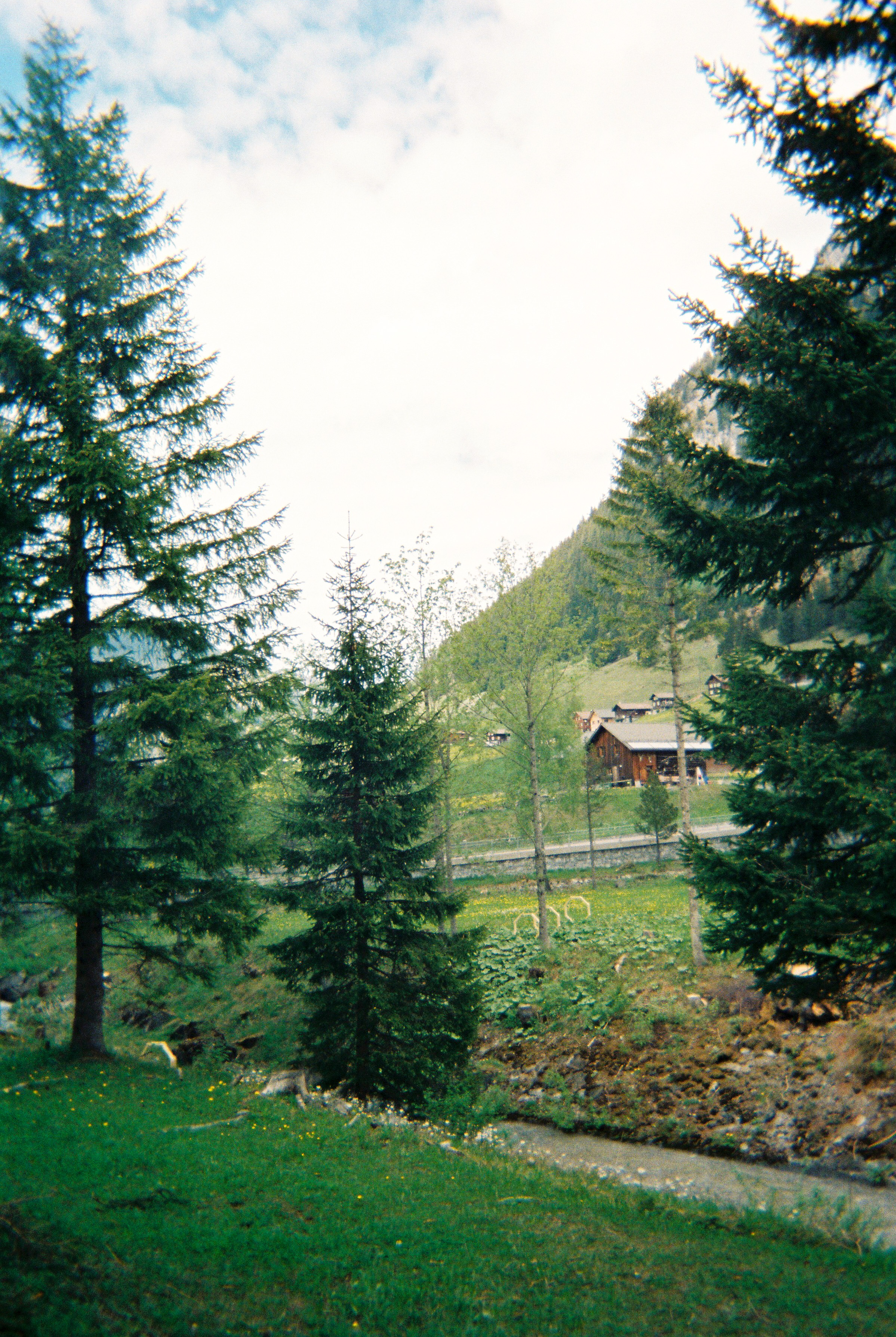 Photographs taken while walking on THE LINE in Liechtenstein by Studio Venice