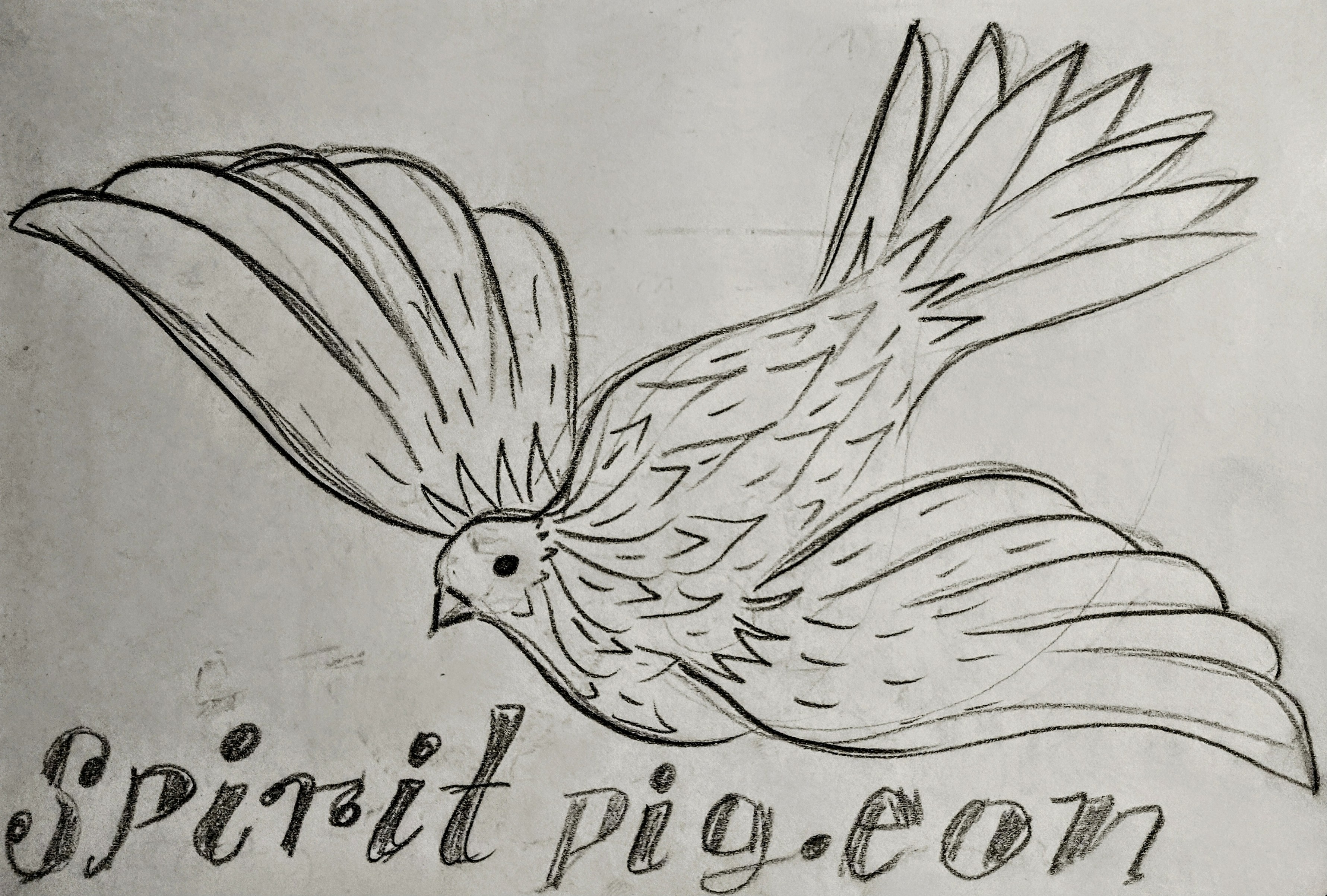 Spirit pigeon