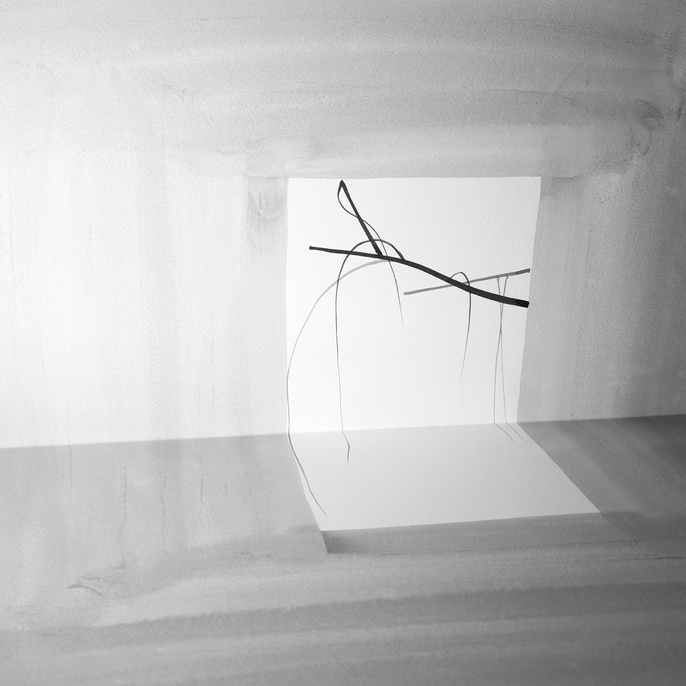 2017 問影 Questions to Shadow