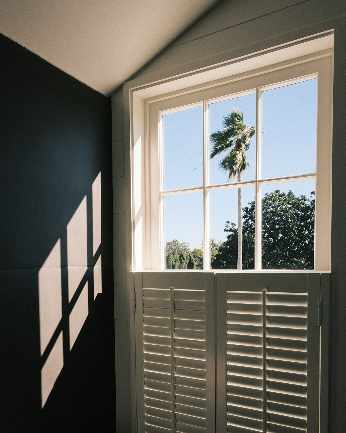 A Single Palmetto, South of Broad, Charleston - February 2021