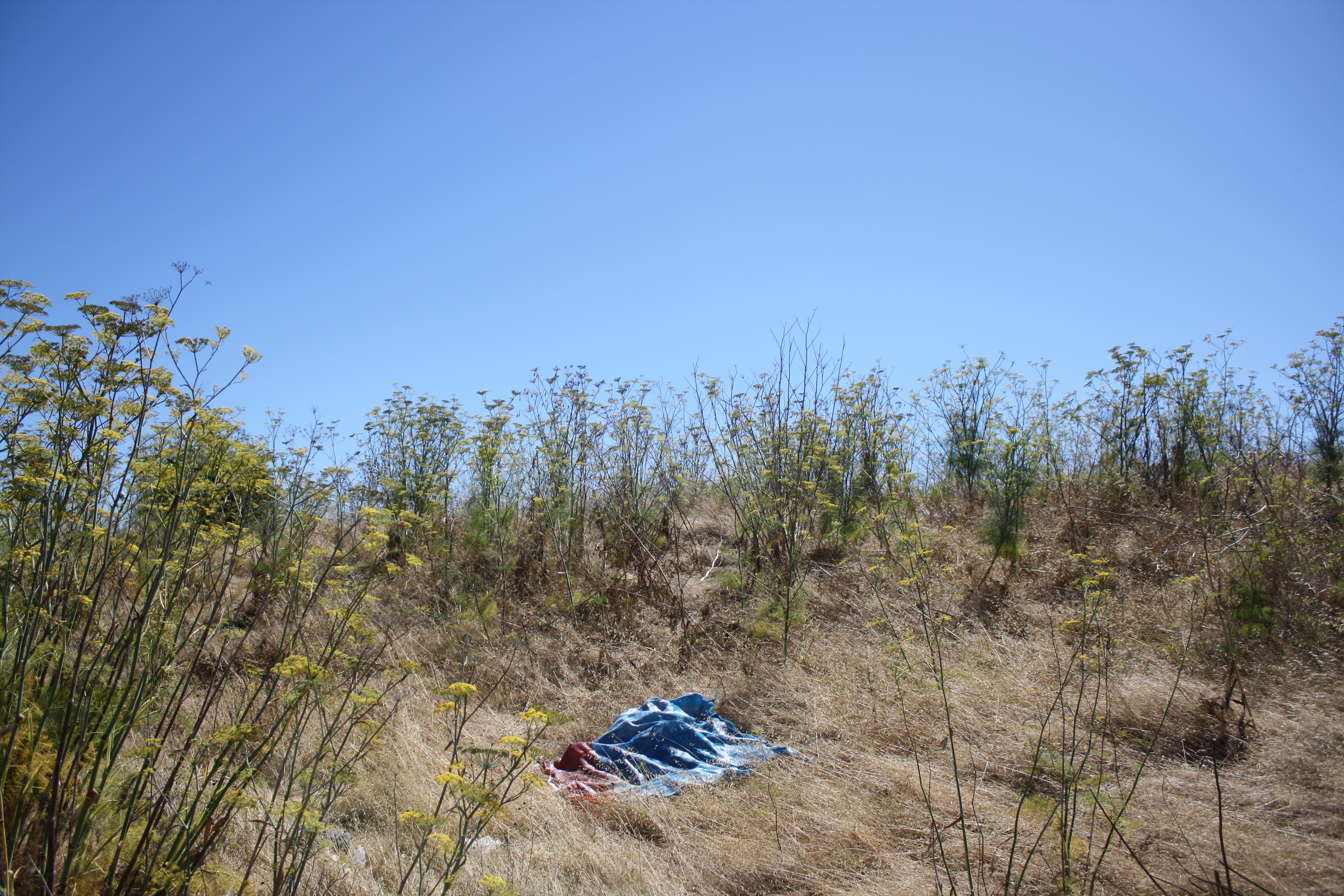 Curtain, 2021, 70 x 52 in, knit cotton and acrylic yarns on a domestic brother knitting machine through intarsia method, silicone coating