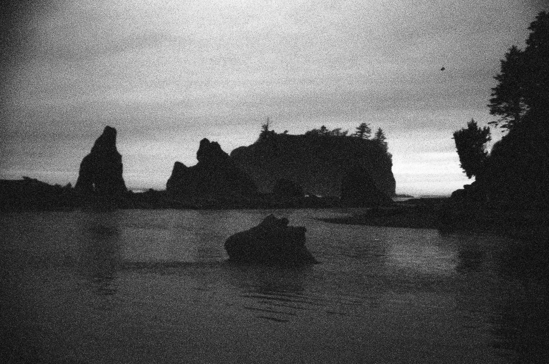 Untitled No. 5