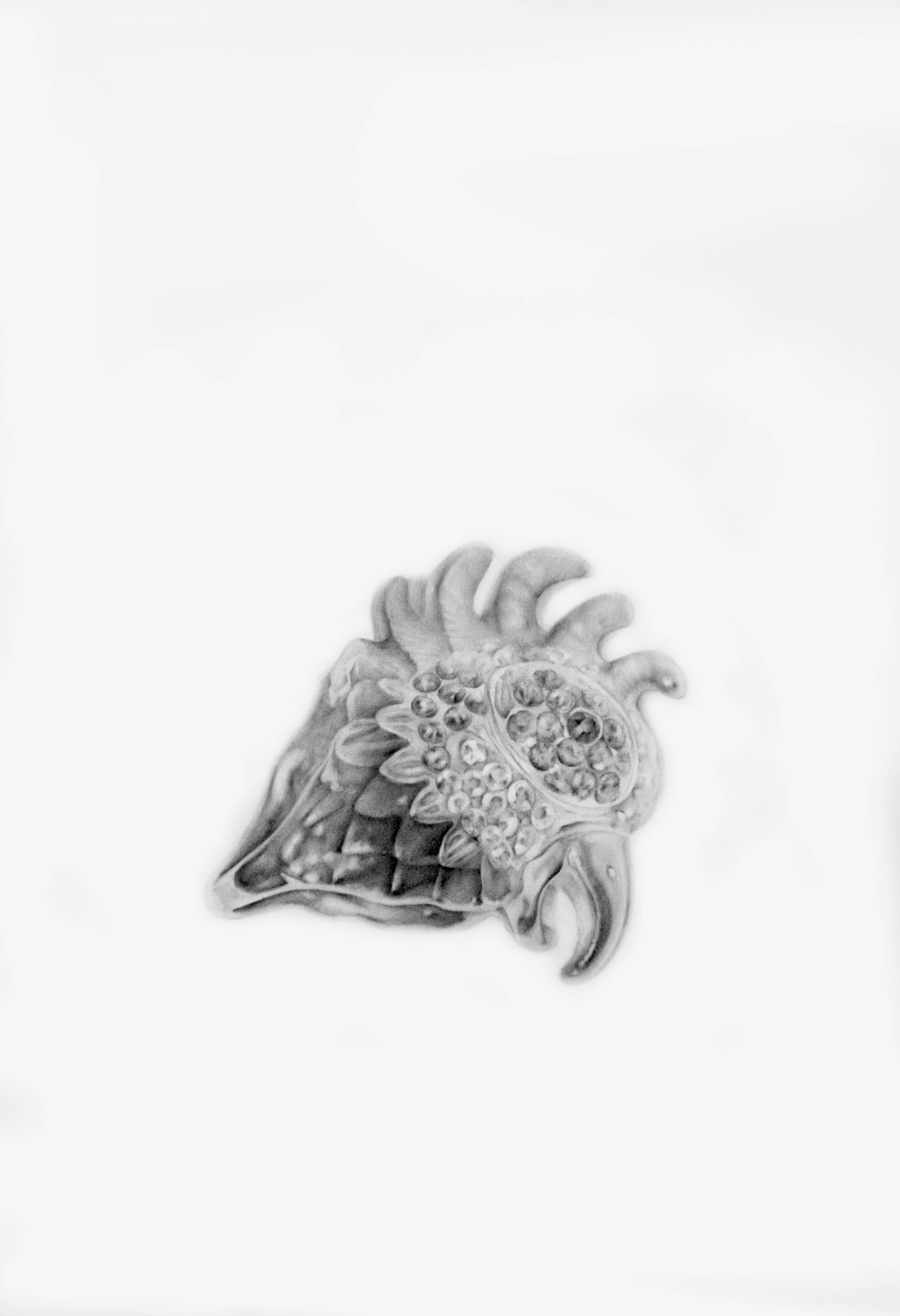 Untitled, pencil on paper, 50x70 cm 2014