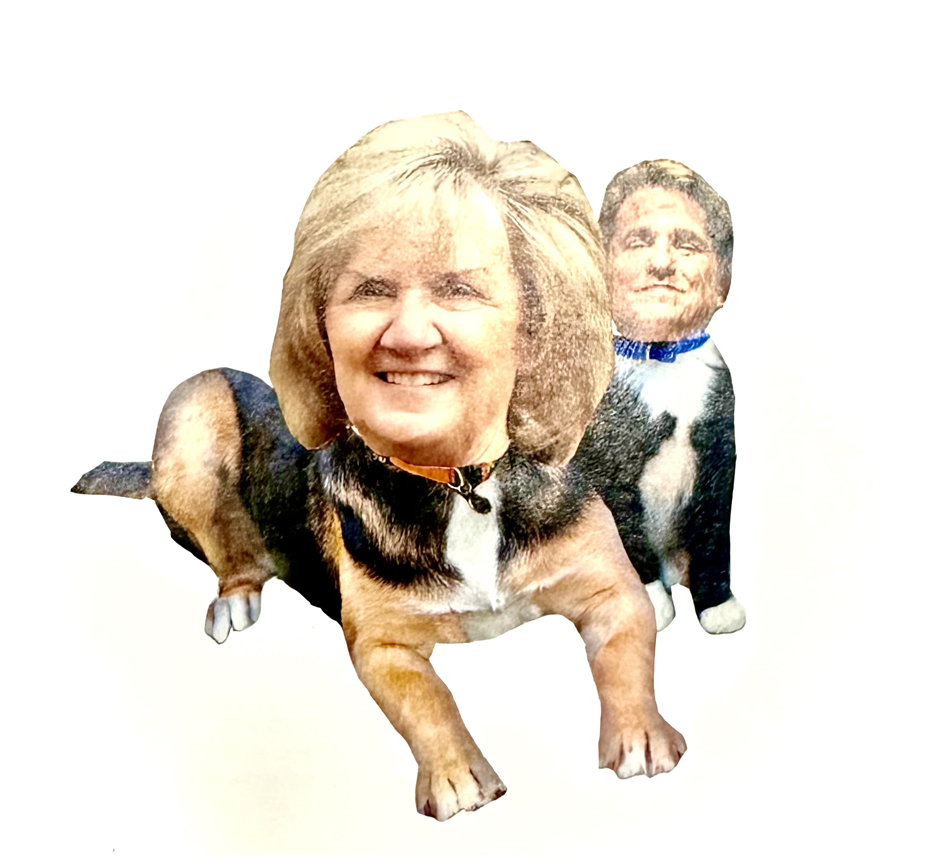 Exotic(2024, 11in x 14in)