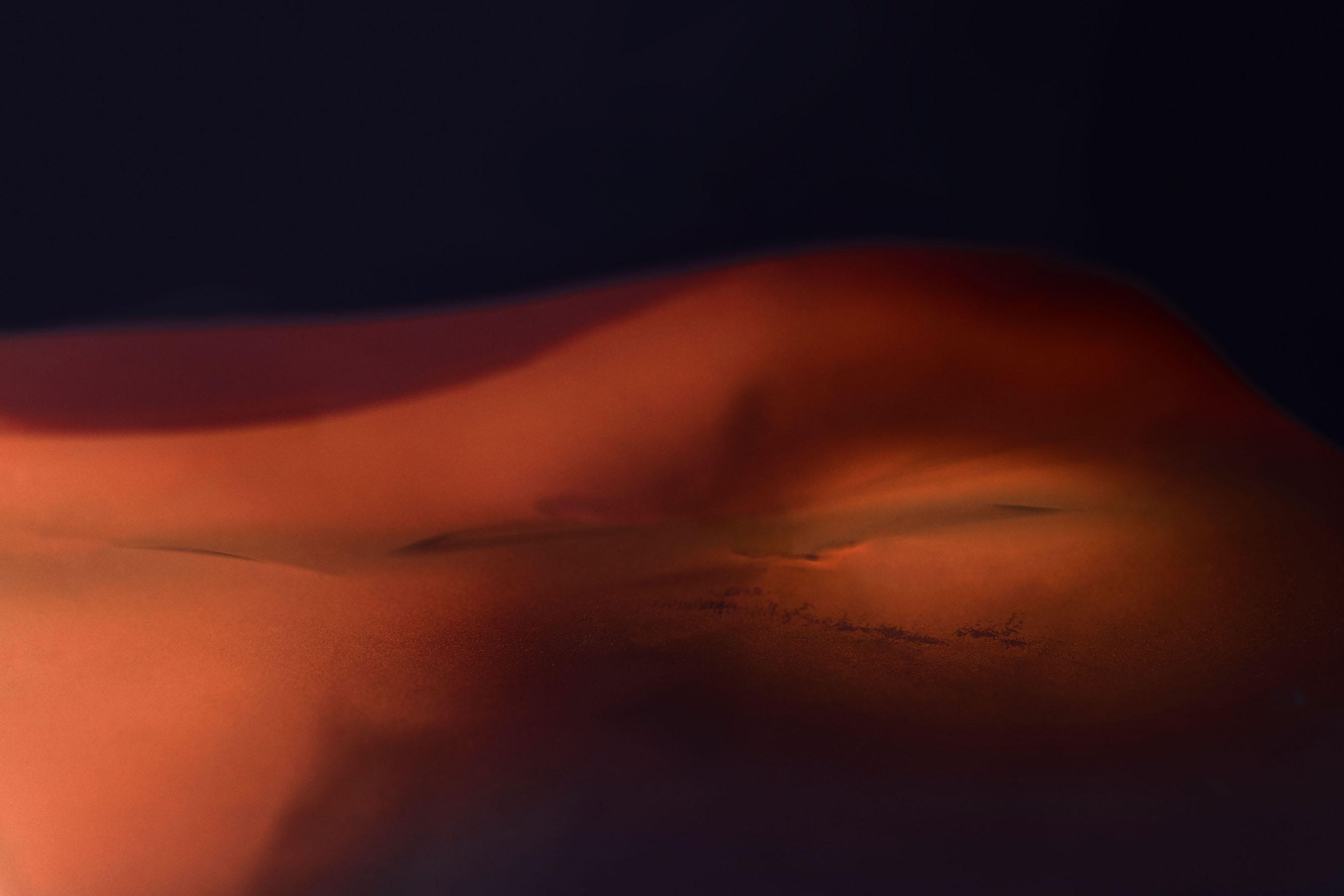 Anna PogossovaUntitled (Red Giant), 2019C-Type Print, Resin104cm x 129cm