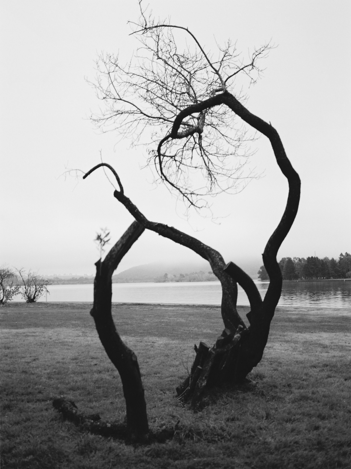 Personal - Narra Park