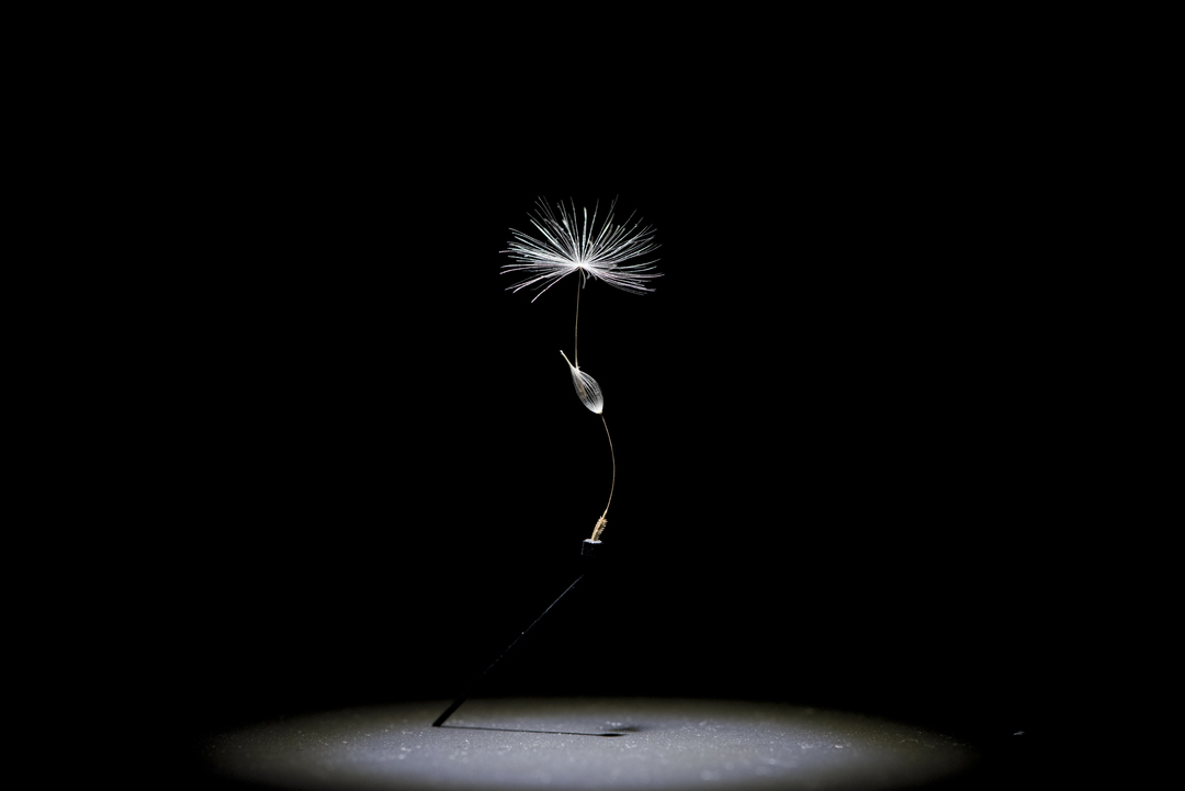 watage20190920《 aloof 3 》  32×16×15(mm)