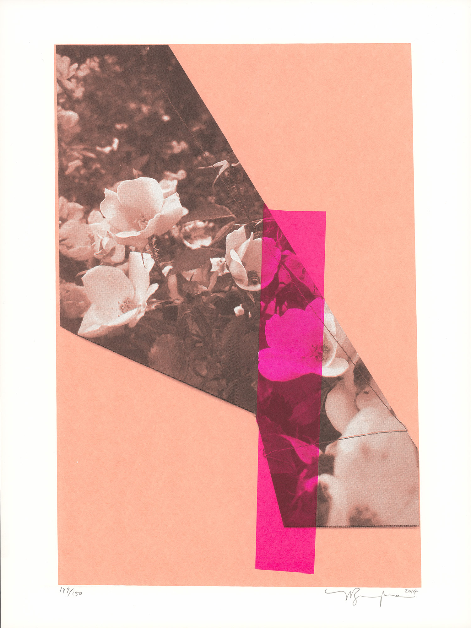 "Brooklyn Botanical", 2014. Signed and numbered edition of 150, 3 color screenprint on French 100lb cover, 24 x 18 inches. Produced in collaboration with Kayrock Screen Printing