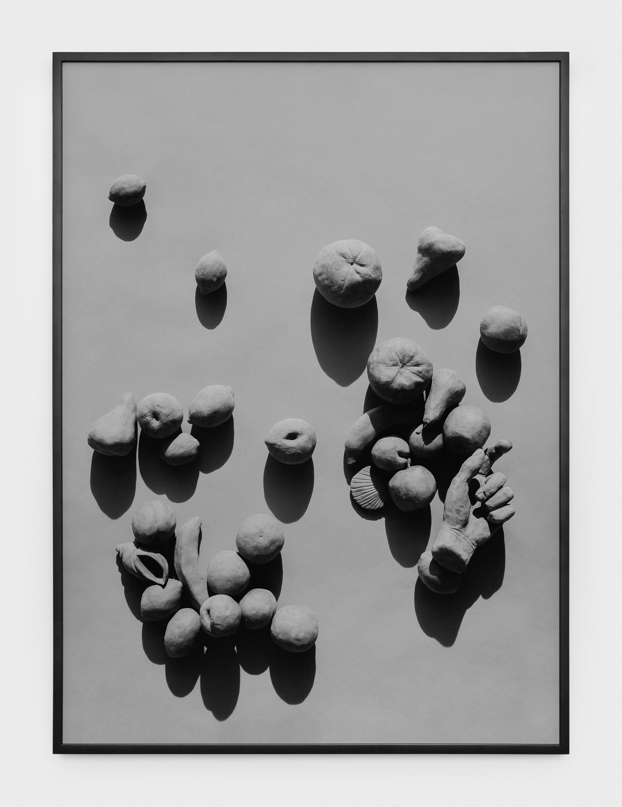 heather cleary artist, fruit, hand, shadows, gray