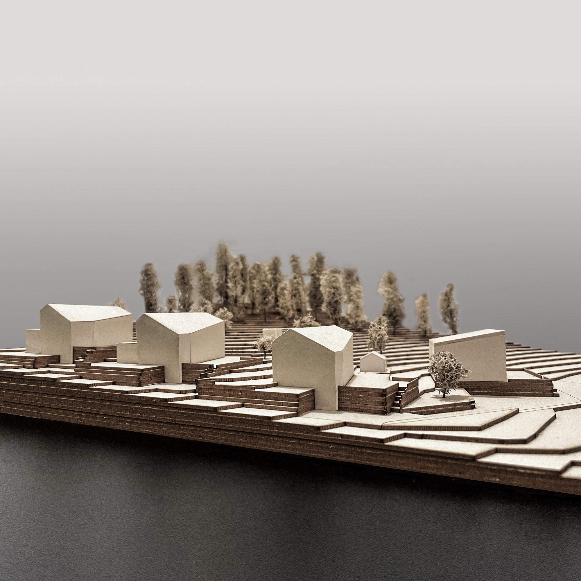 Maquette de site