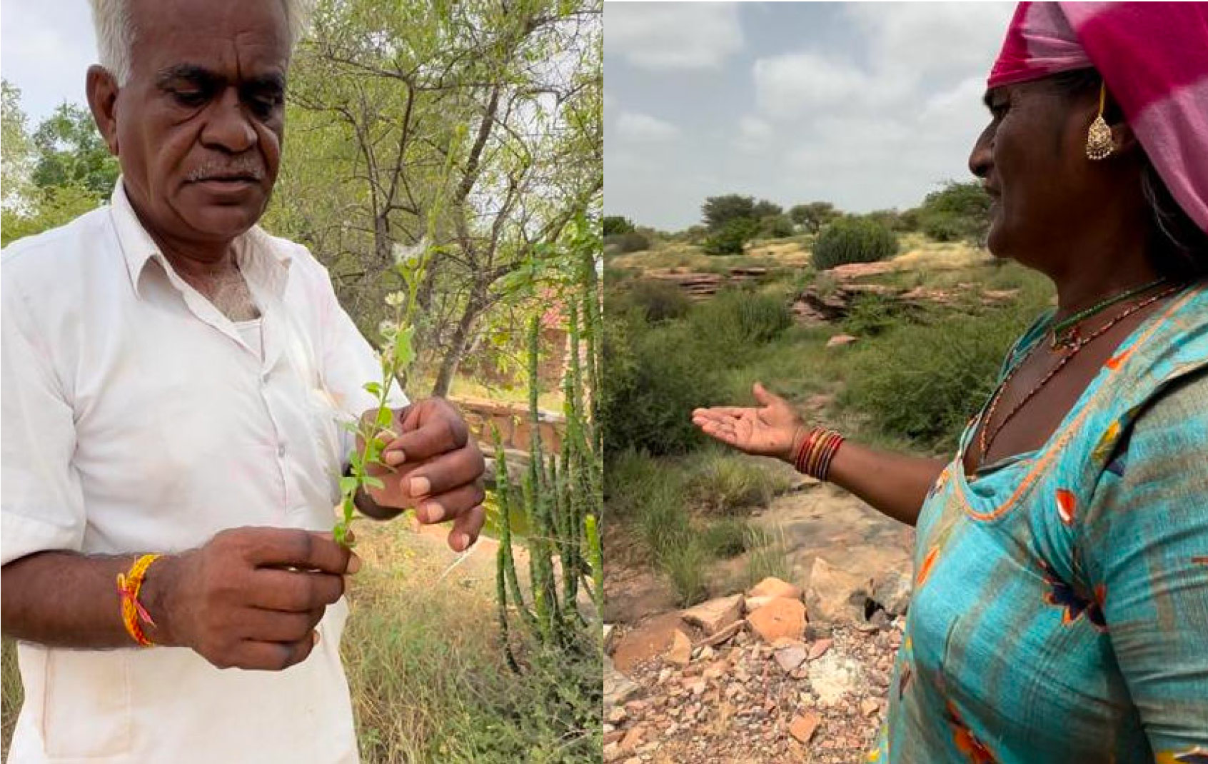 As the museum has shared with us, all aspects of biodiversity, geology and water-harvesting associated with the museum site are part of an interactive learning process.