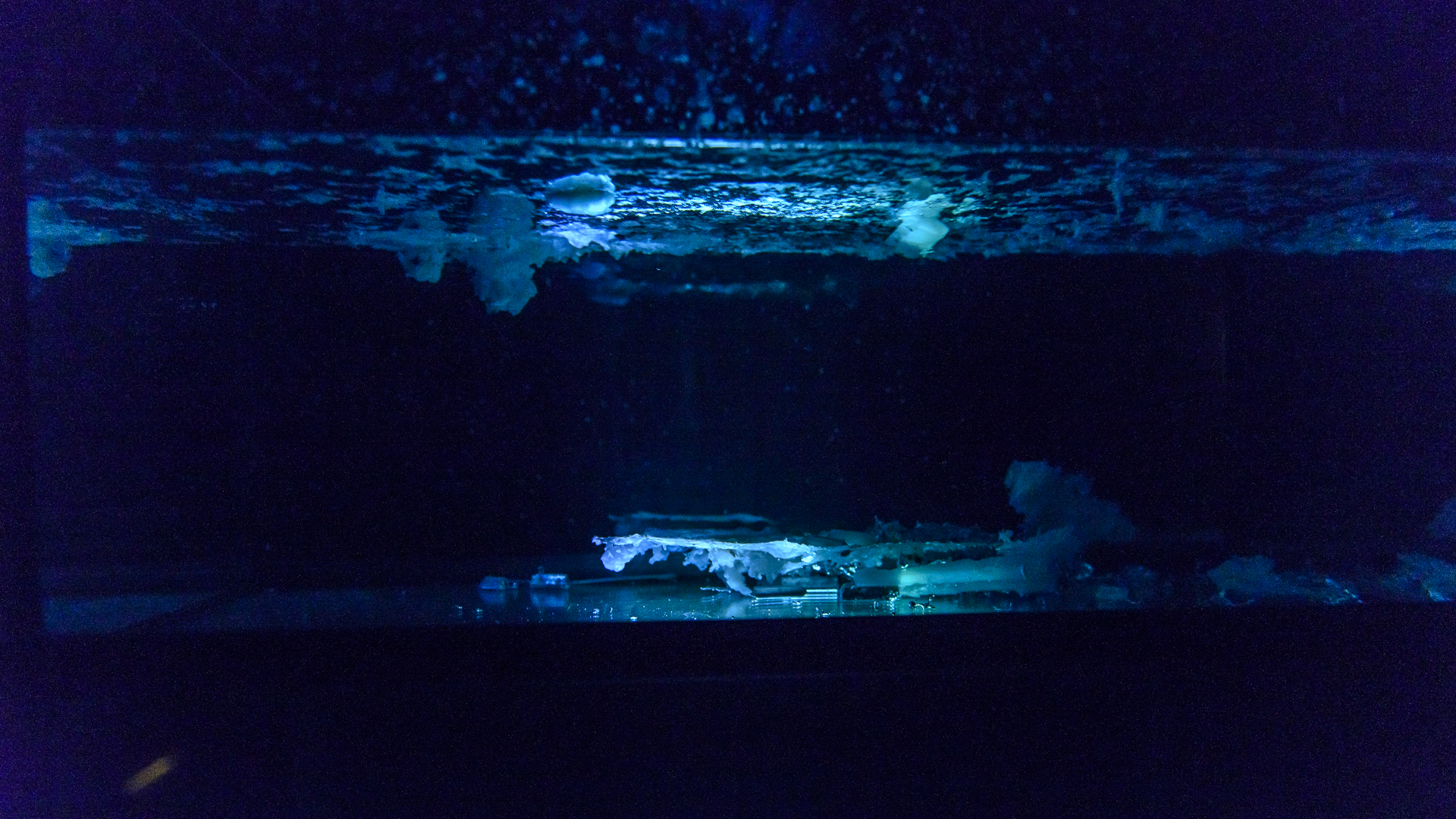 Projected Futures, 2012