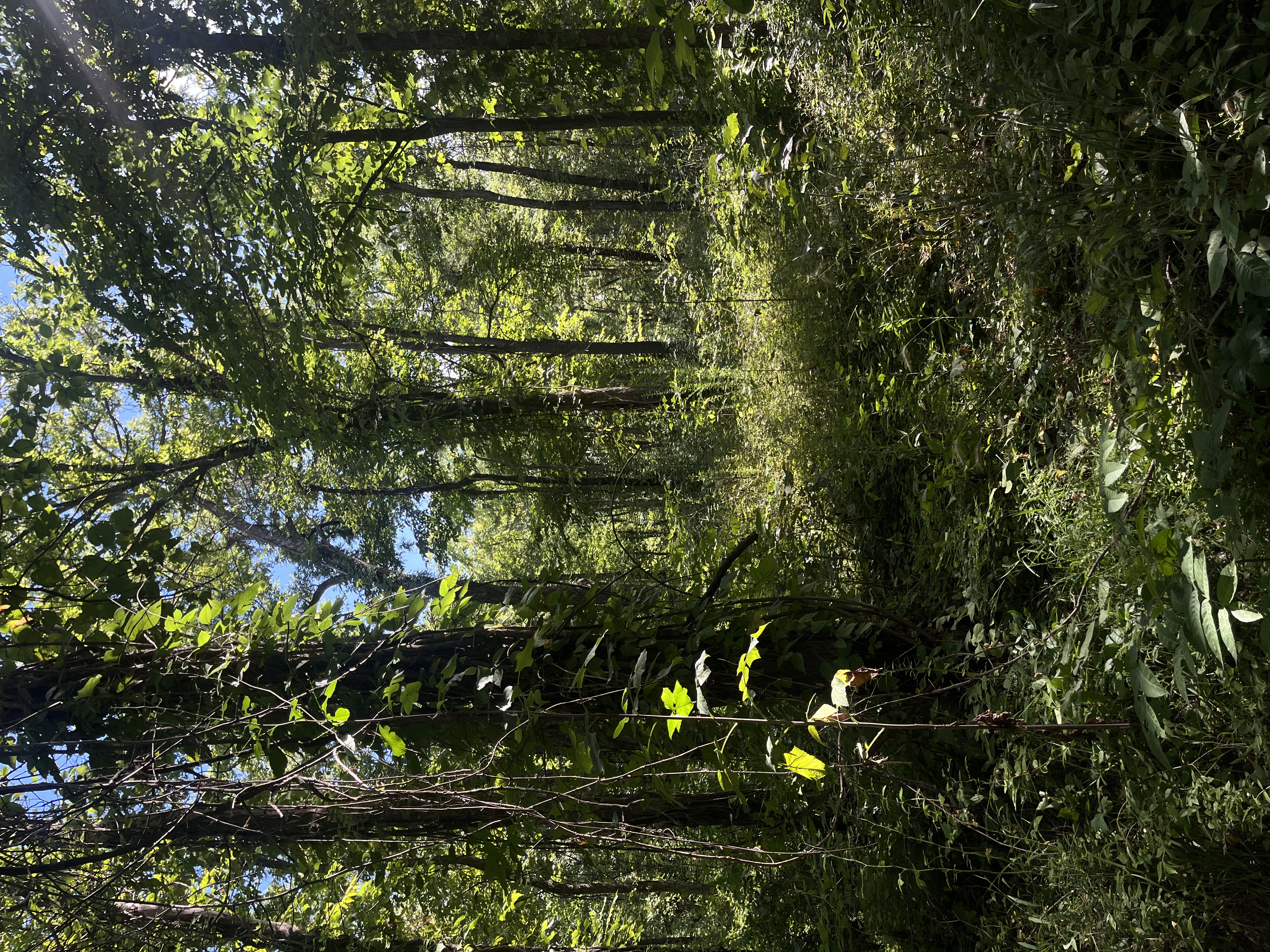 2025 Stocksdale Park