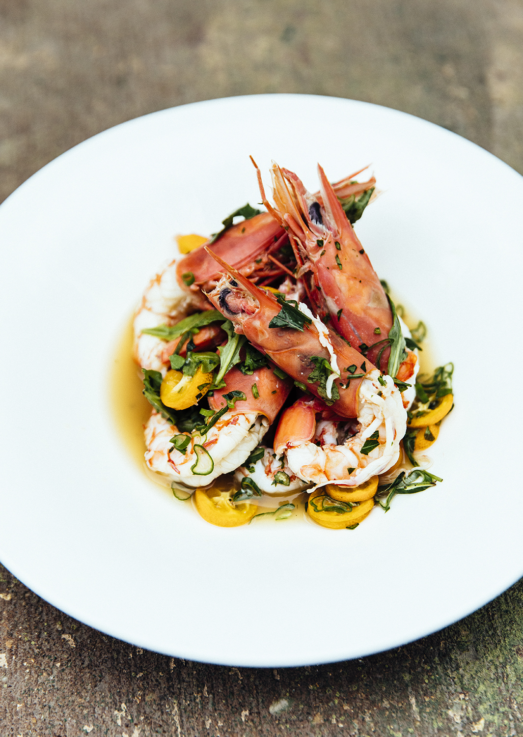 The Hummingbird Way/ Mobile, AL