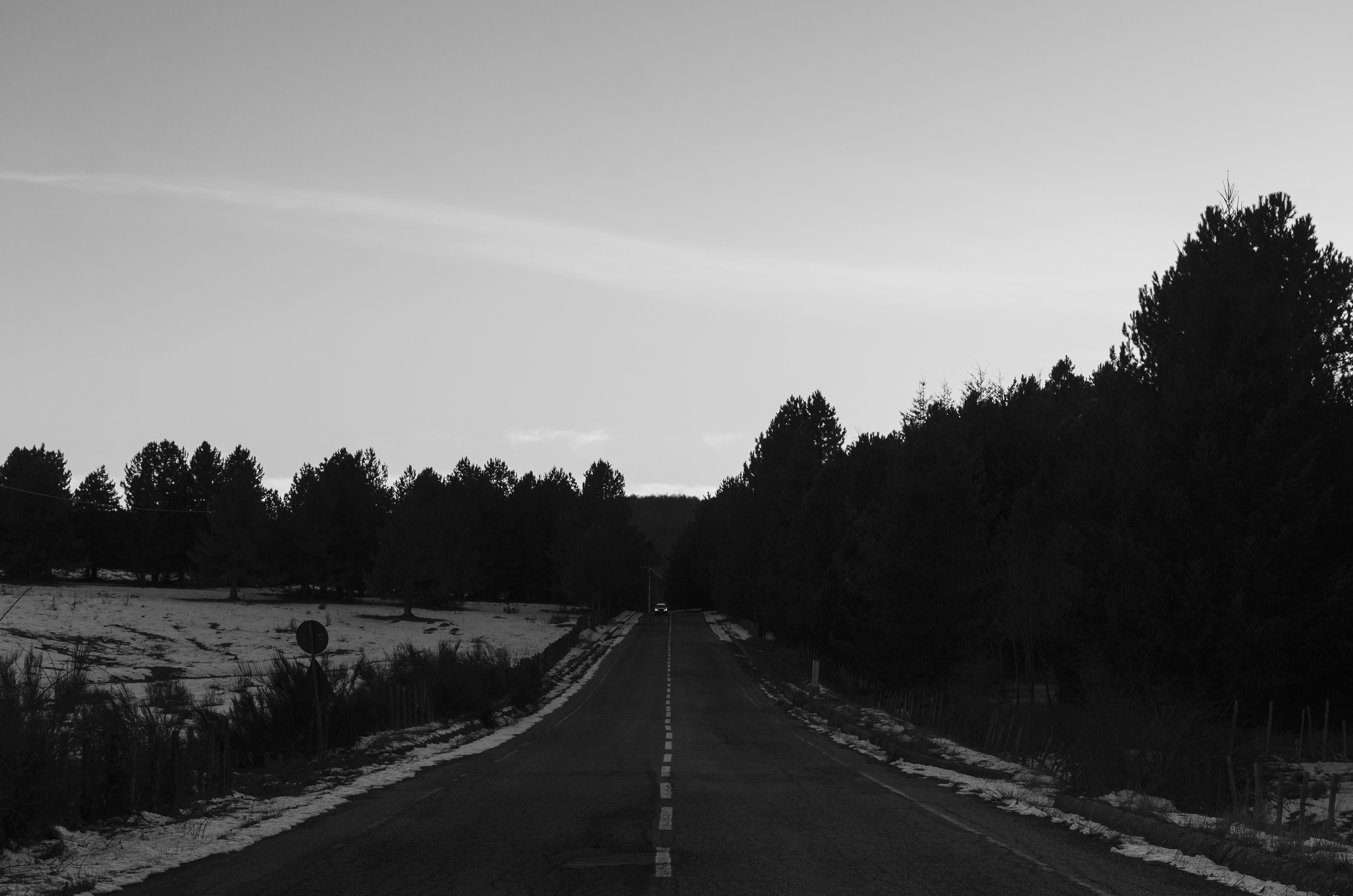 Calabria, Sila, December 2019.
