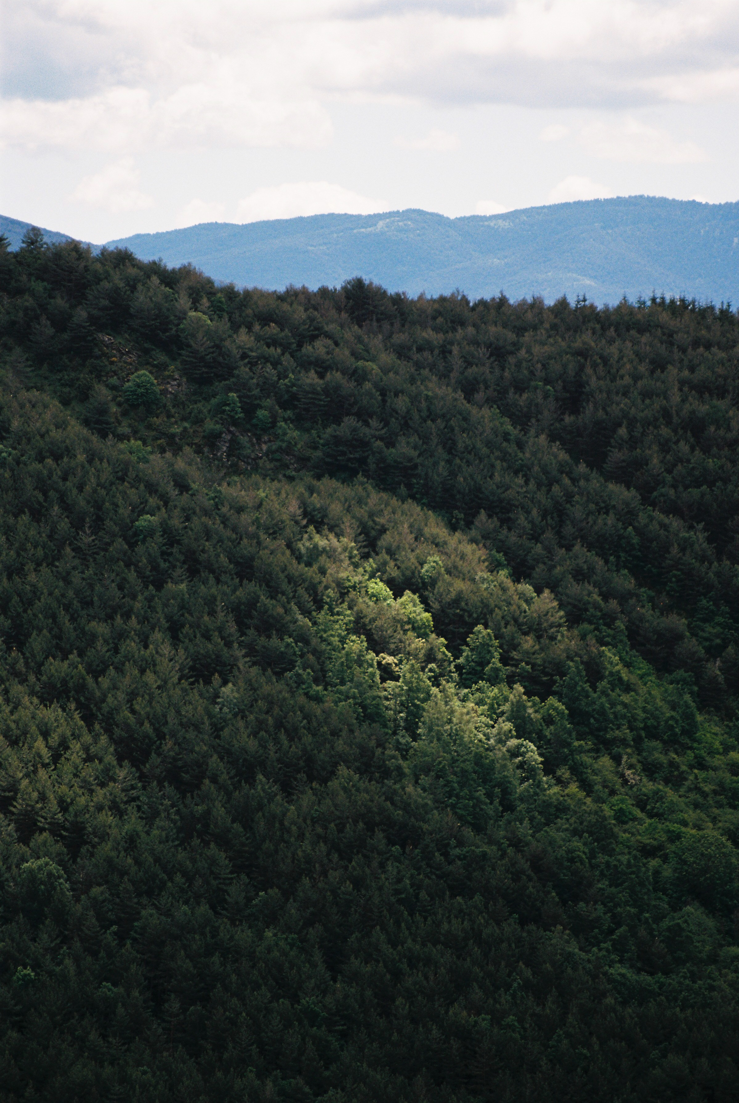 Story for Eldoradoexperience 