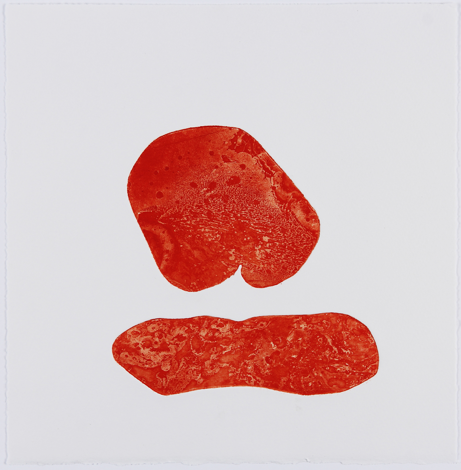 Xenophora VI, 2021. Etching on Somerset Satin. 25 x 25cm. 1/2 varied edition.