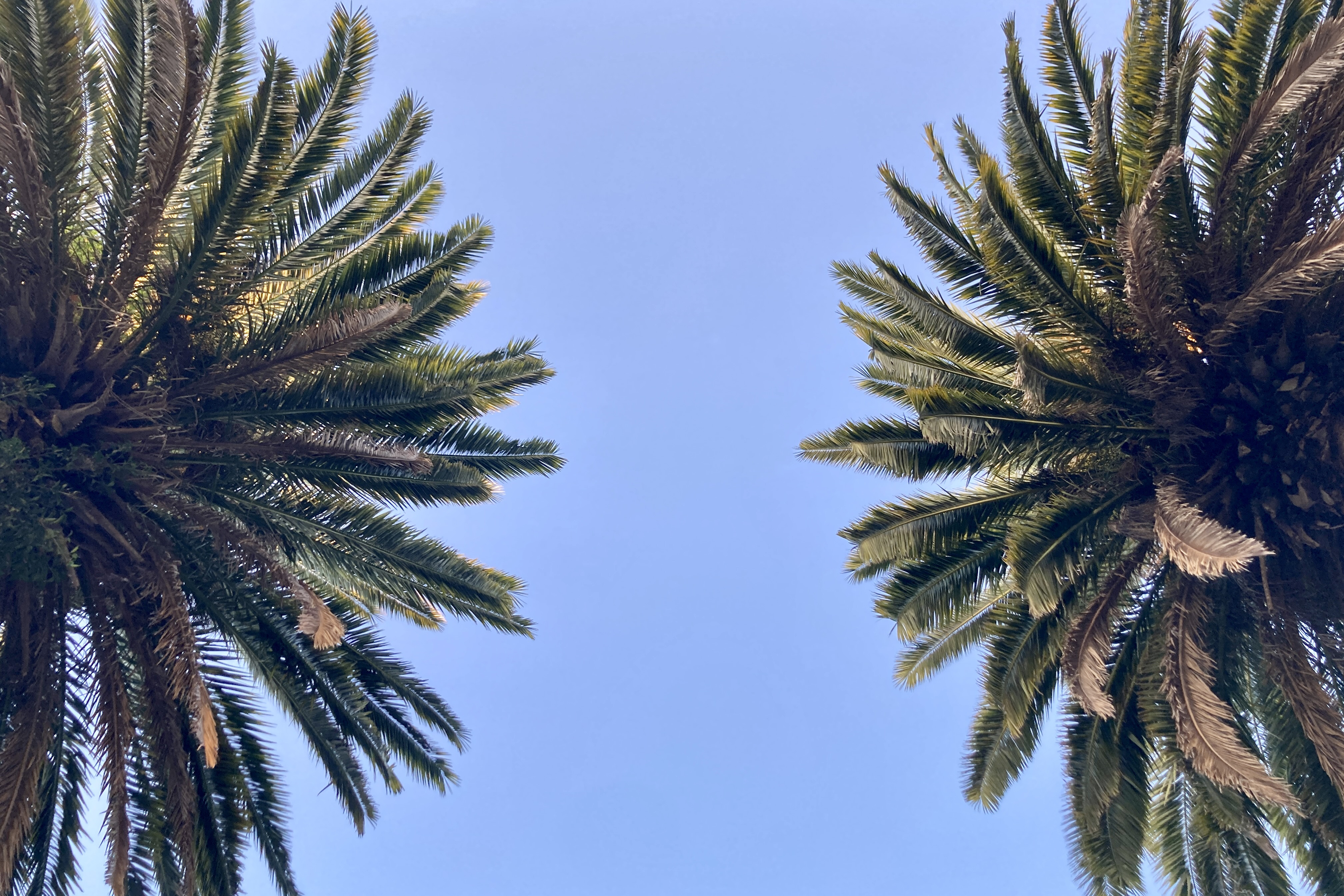 Upcoming Project: Randwick 01