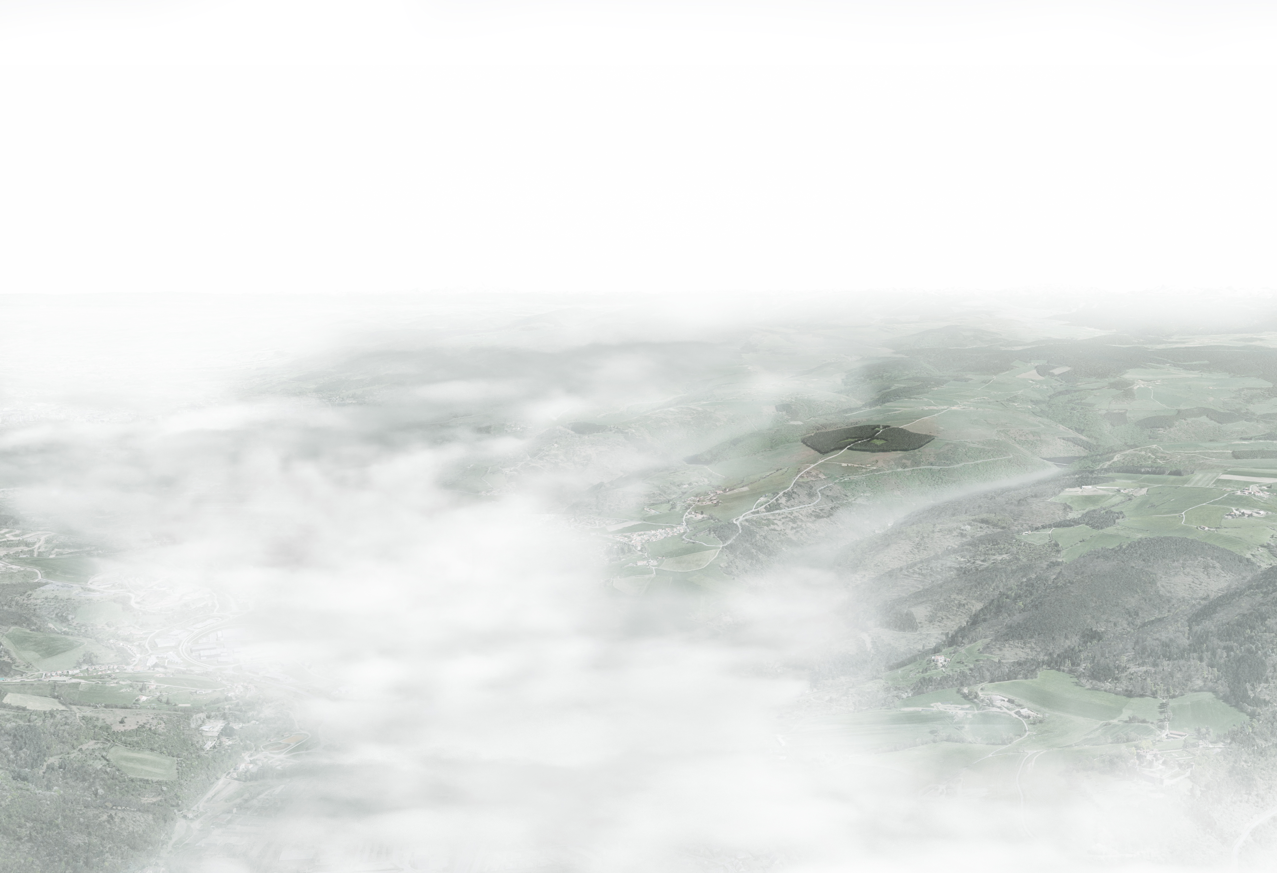 000 - FOREST FOR THE LIVING