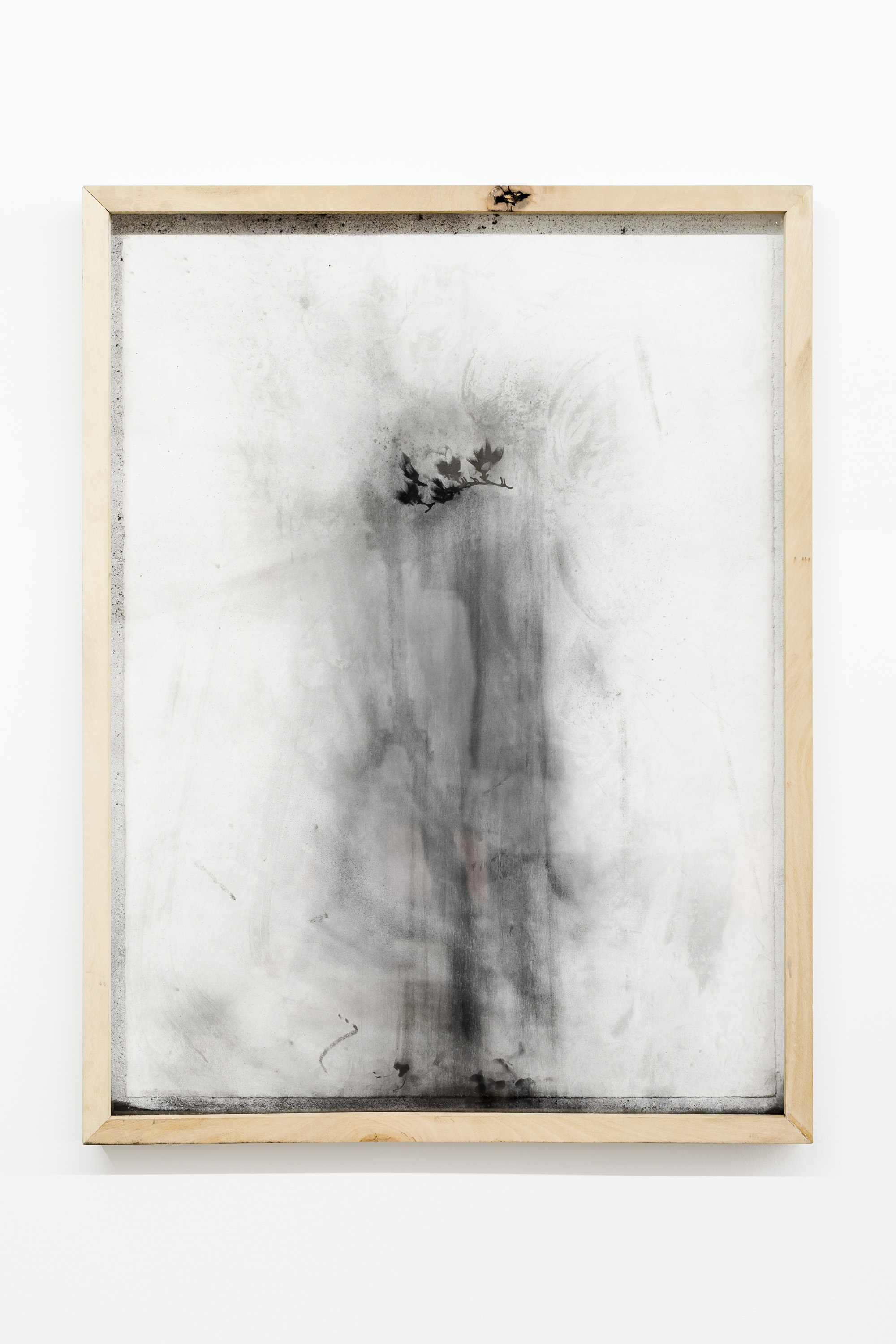 Strange Blooms : (1092.7 to Berlin, Magnolia), 2018