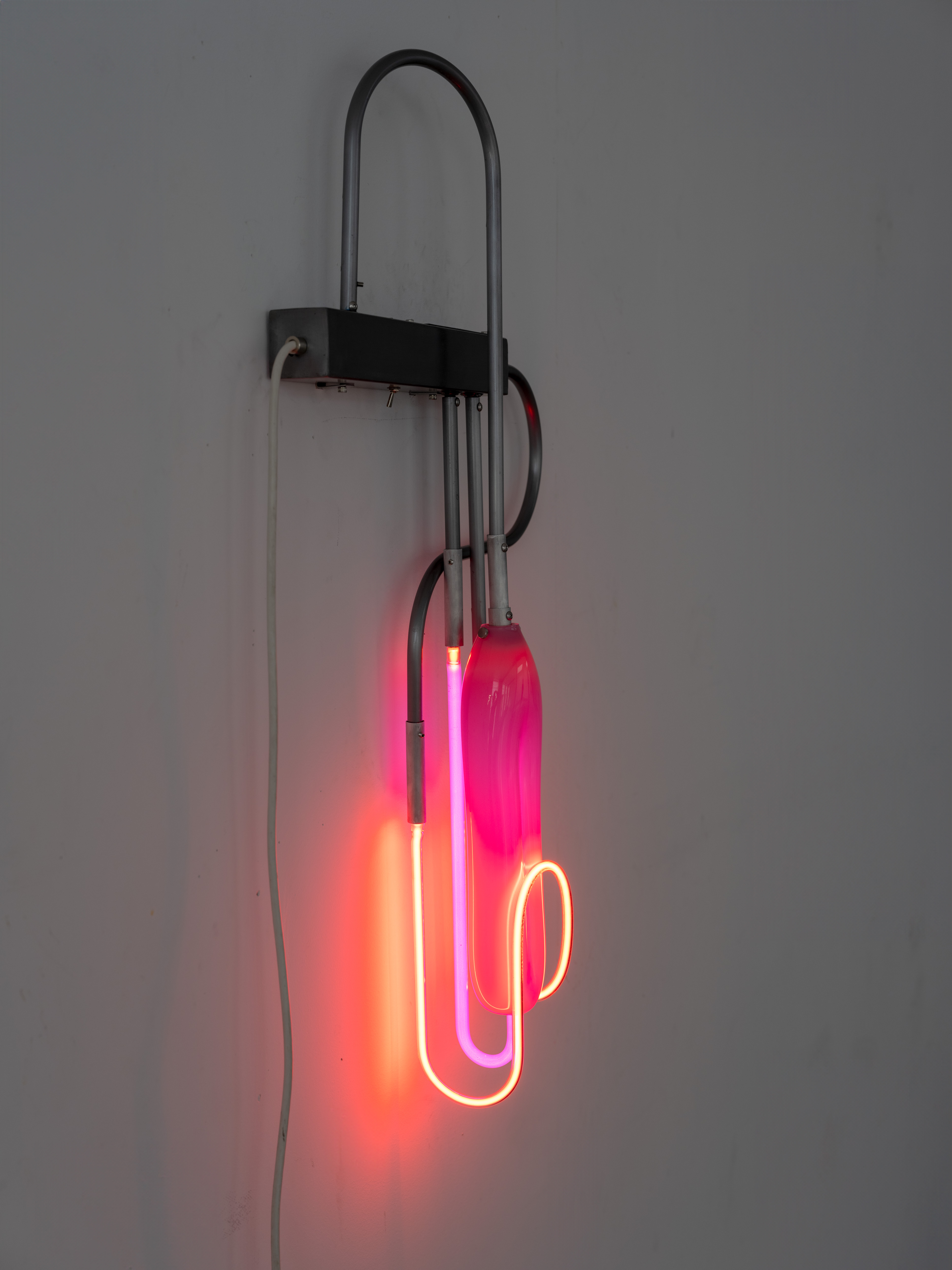 Lingus in Limbus, 2025