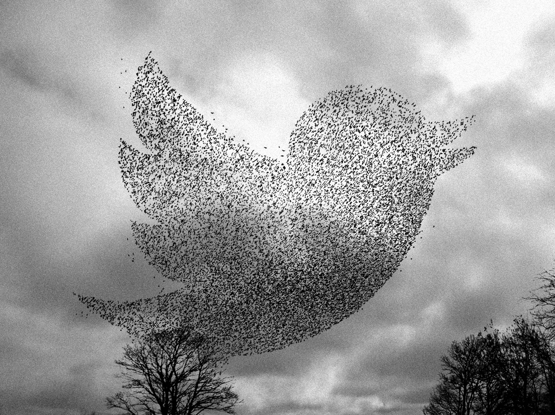 07/11/2022 Barron's - Love or Hate Him, Elon Musk Is About to Show Whether Twitter Can Take Flight / AD: Chelsea Schiff