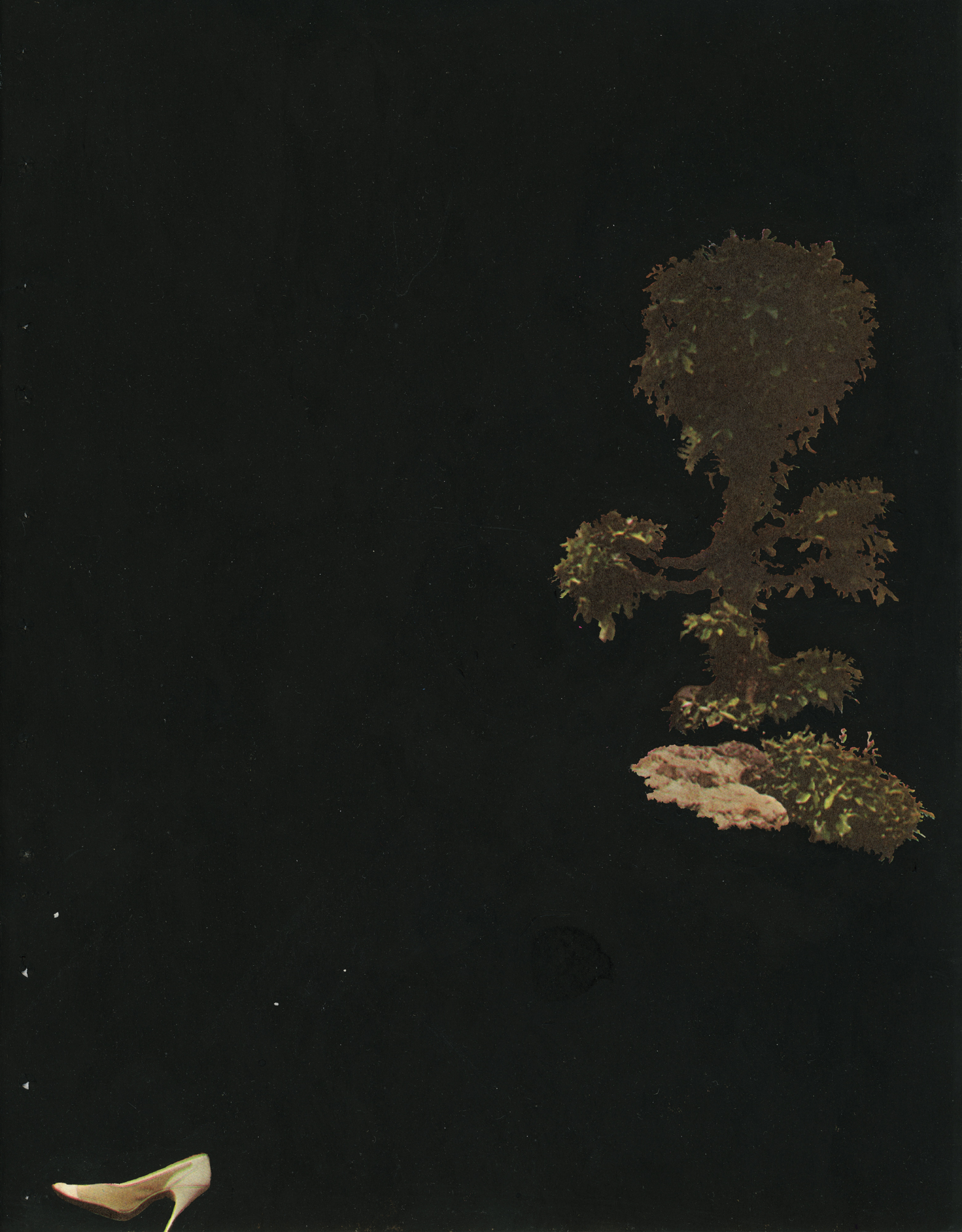 Black Thoughts: White Shoe, 2013, black gesso on found book page, 10 7/8 x 8 3/8 inches