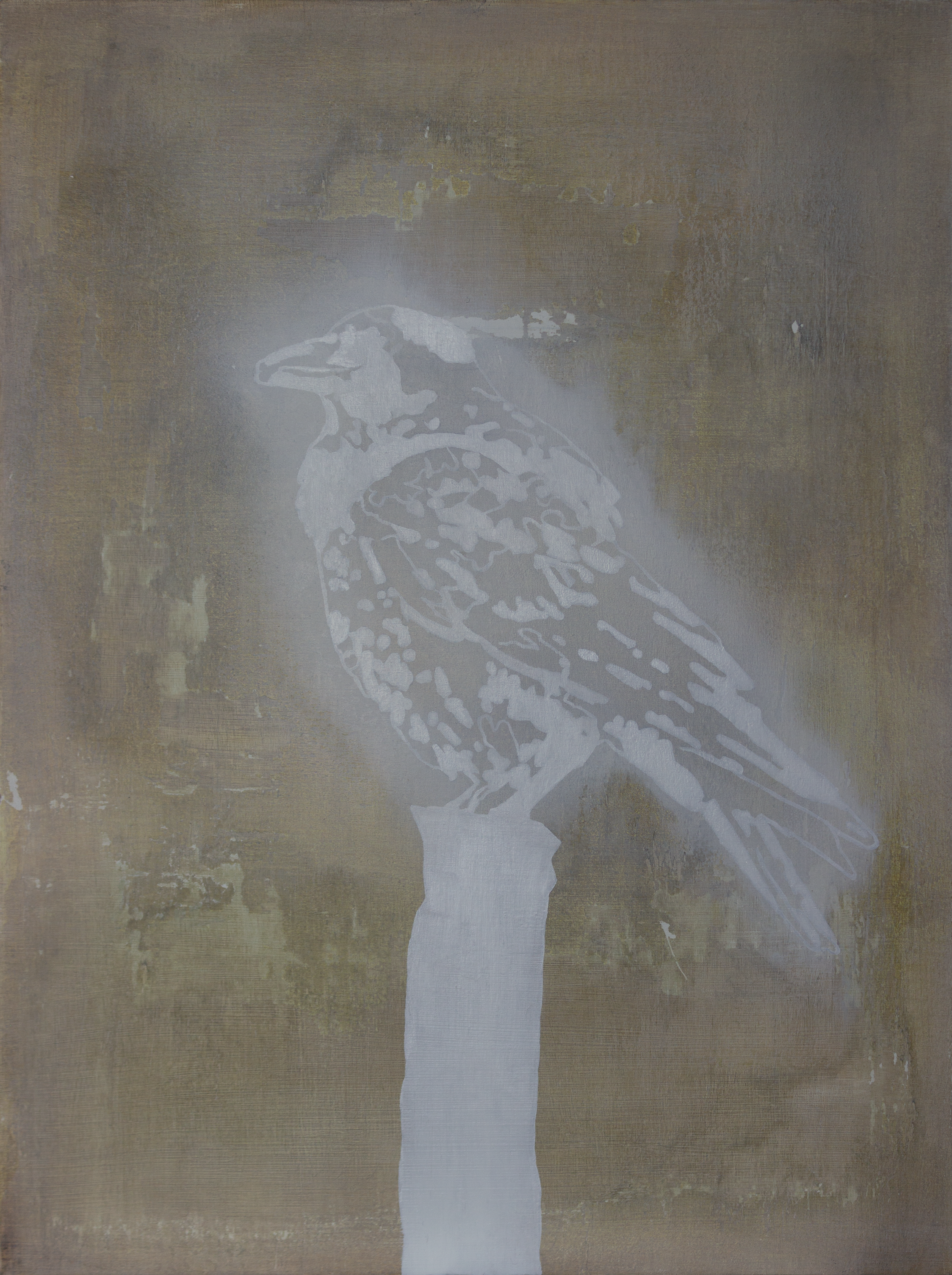 Crow study // Acrylic & Oil on Board // 30x40cm // 2021
