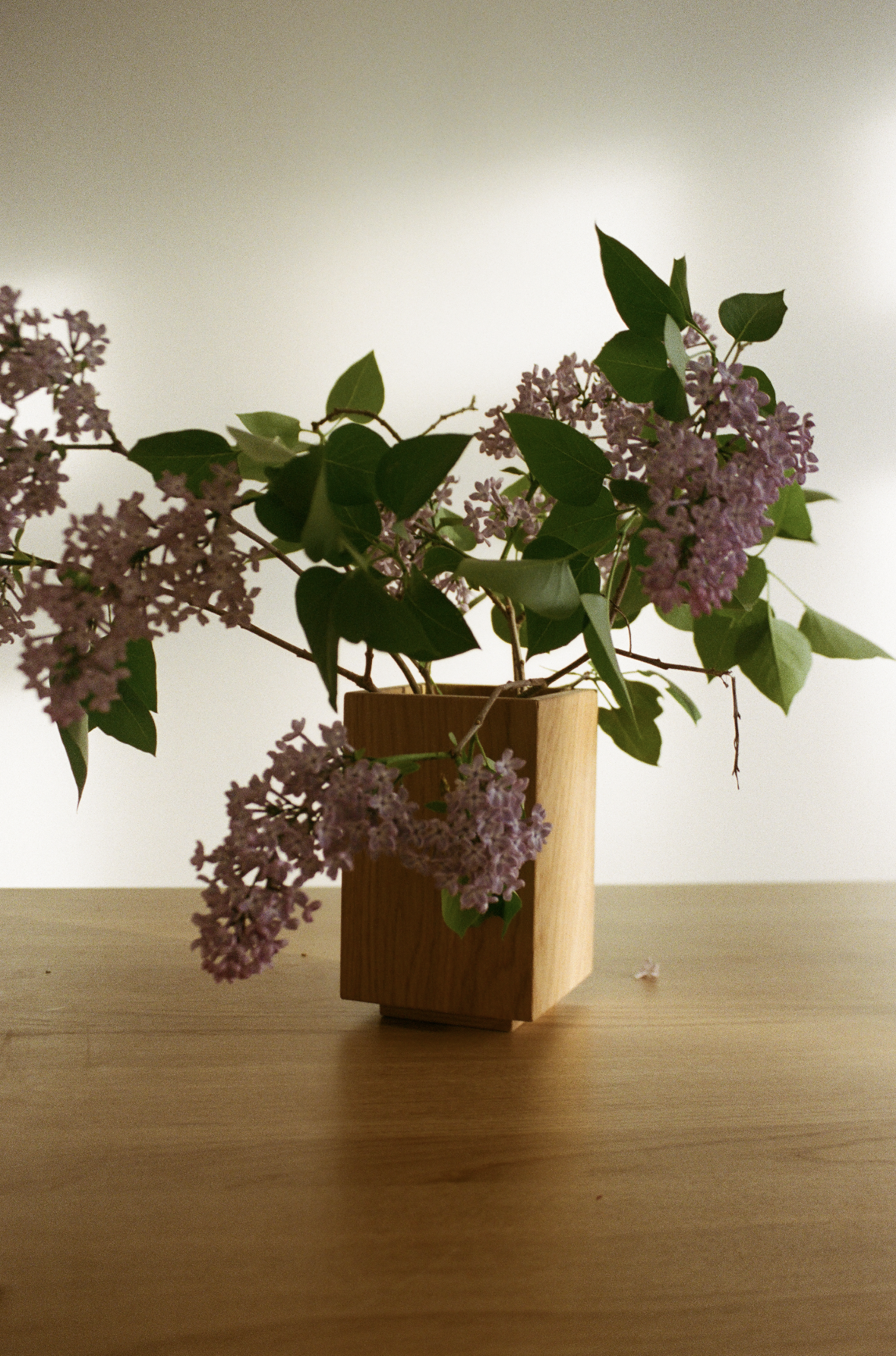 Photography & Art Direction, Still life for A Seat in Siena. 2022 