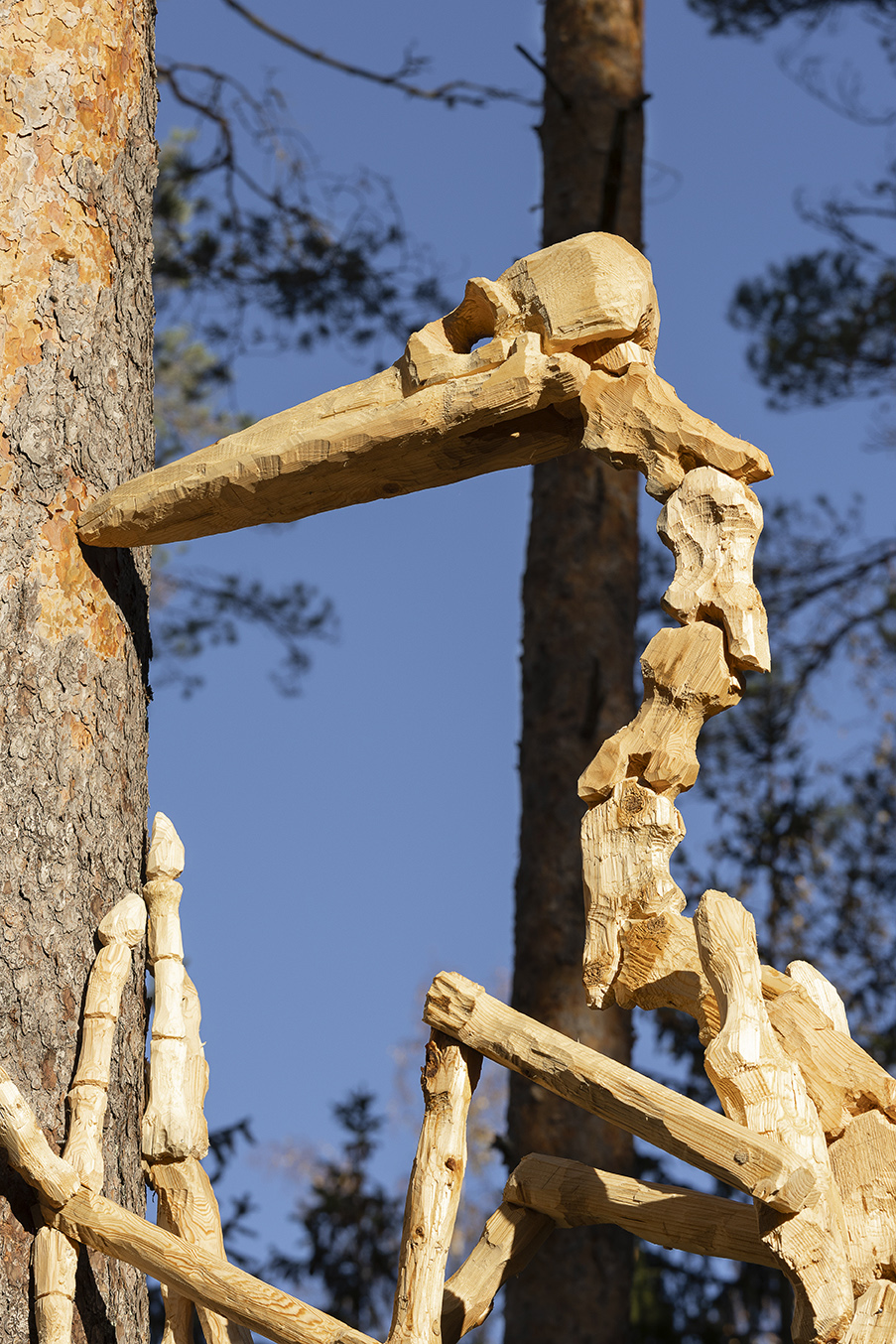 Photo: Silvia Montevicchi