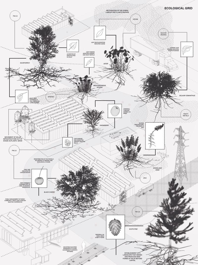 Ecological Grid