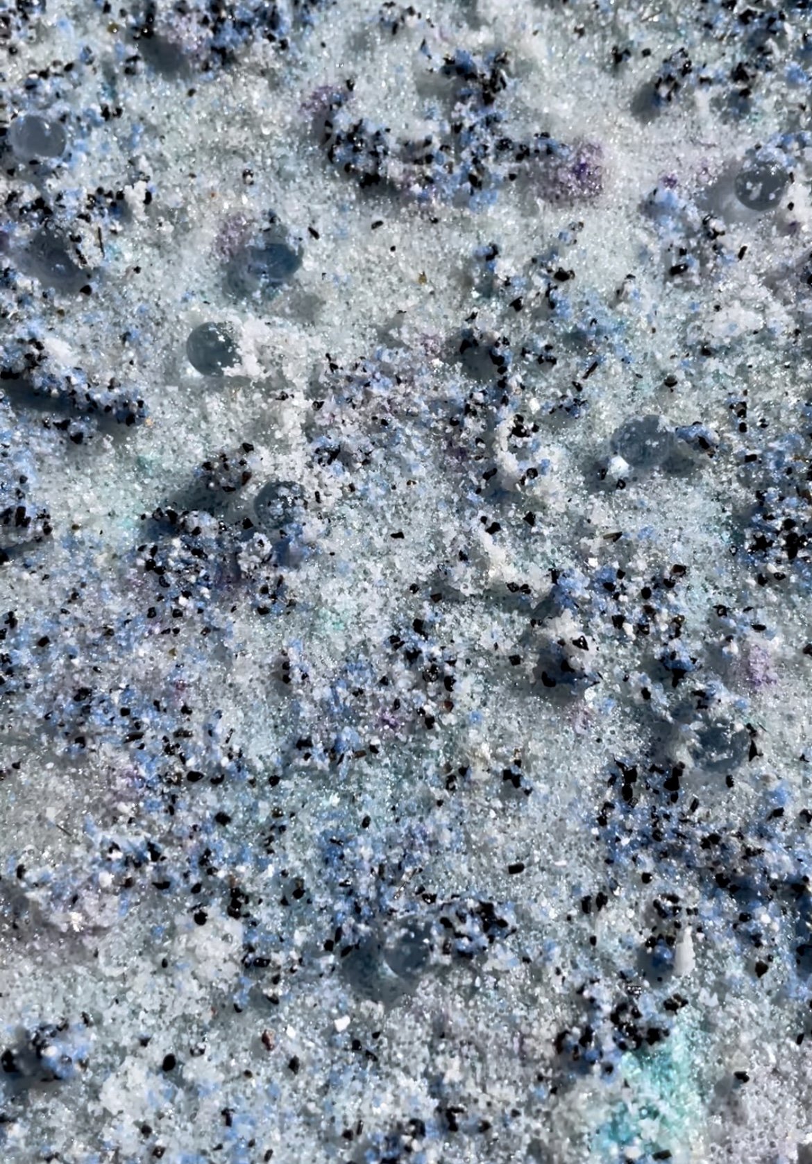 Bahamian Reef (detail)