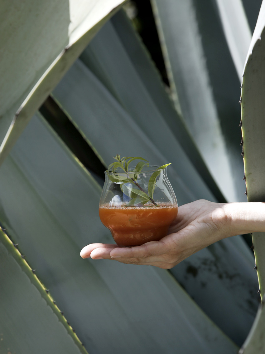 Milk Décoration - Photo Hervé Goluza 