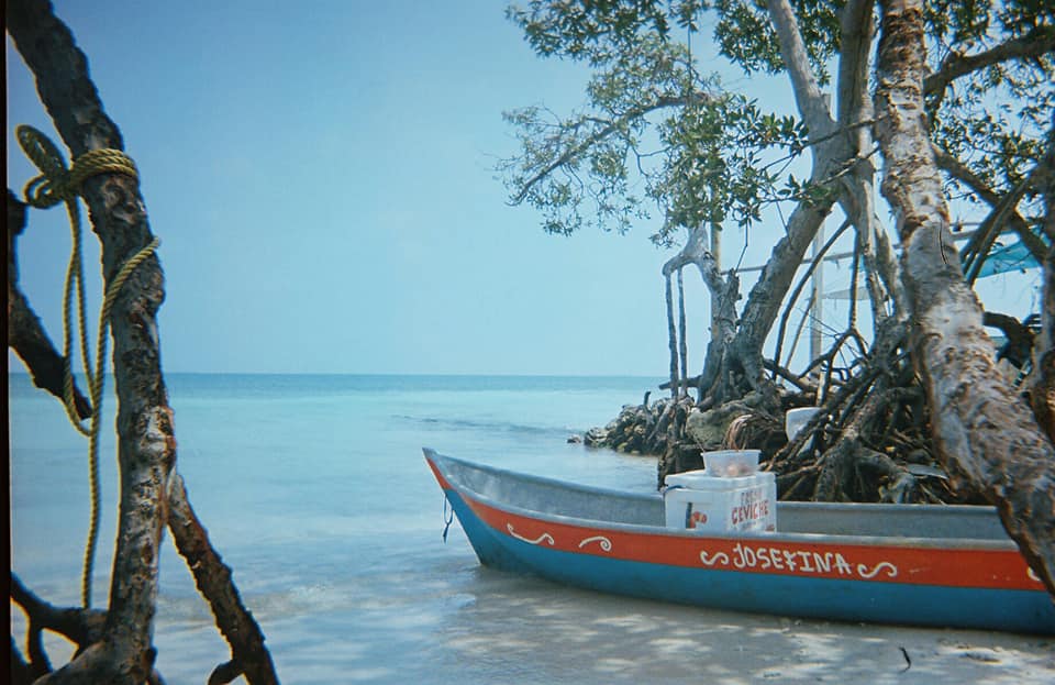 Dig a little to find cheaper tours with local guides