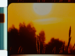 #025 FILM-BRICOLAGE