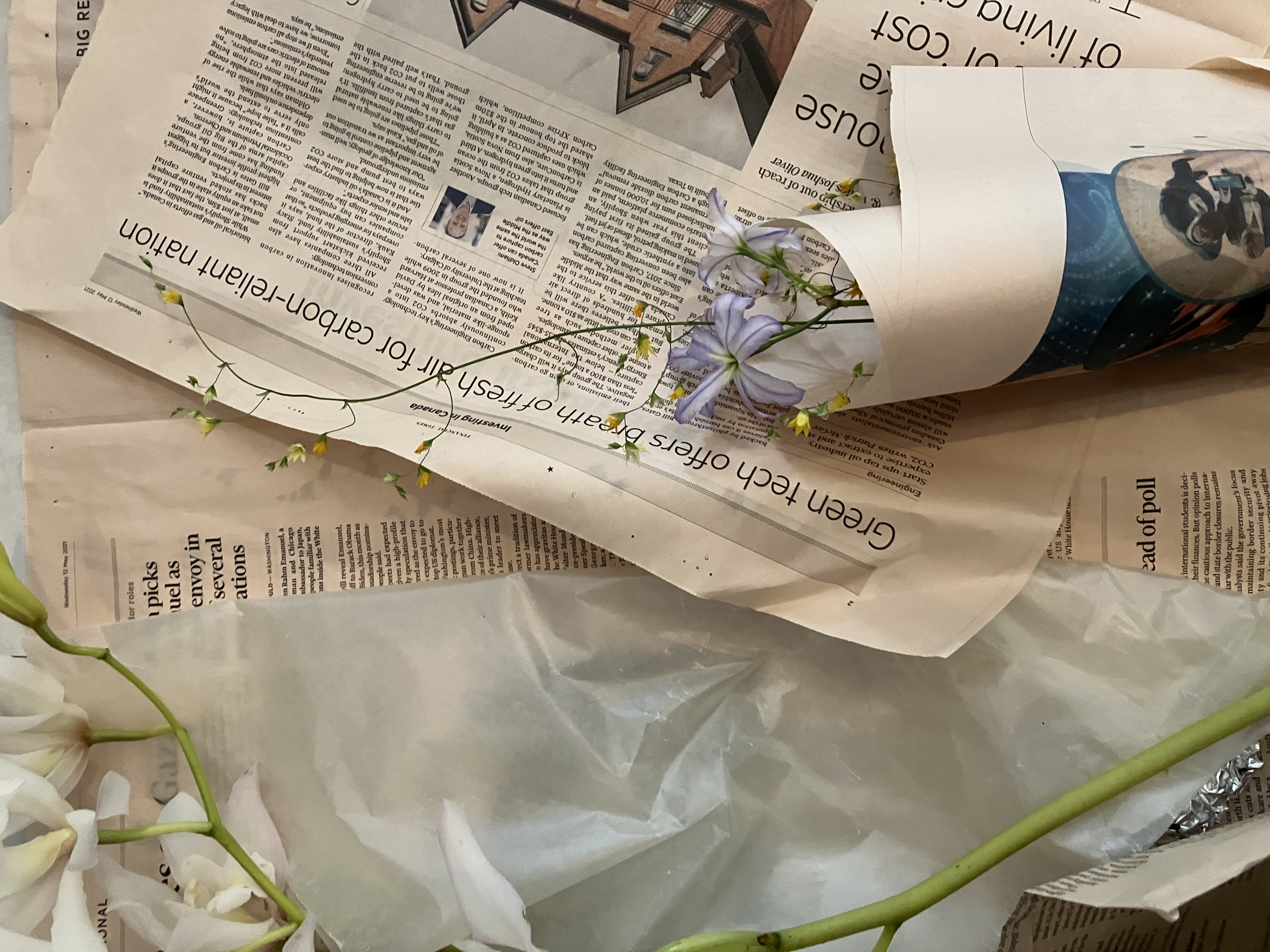 Why I love flowers - APRIL 1, 2025