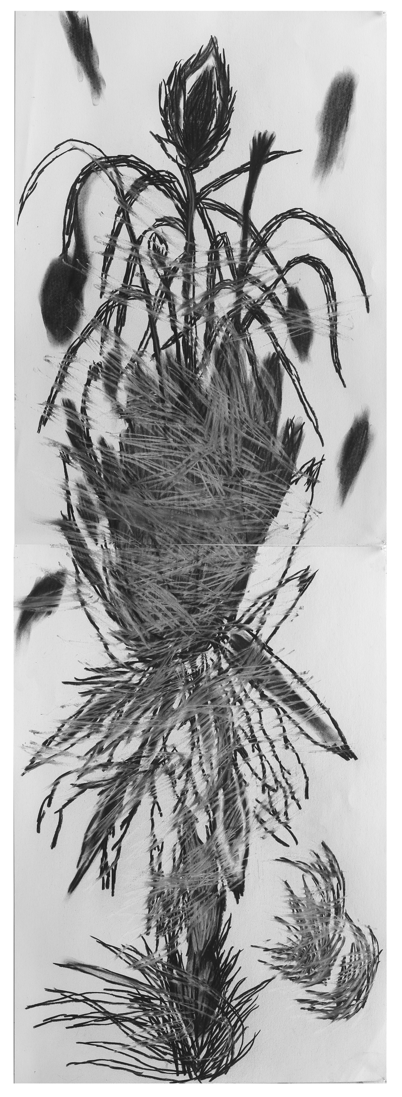 사소한 뿔trivial horn_conte, charcoal on paper_153x114cm_2014  