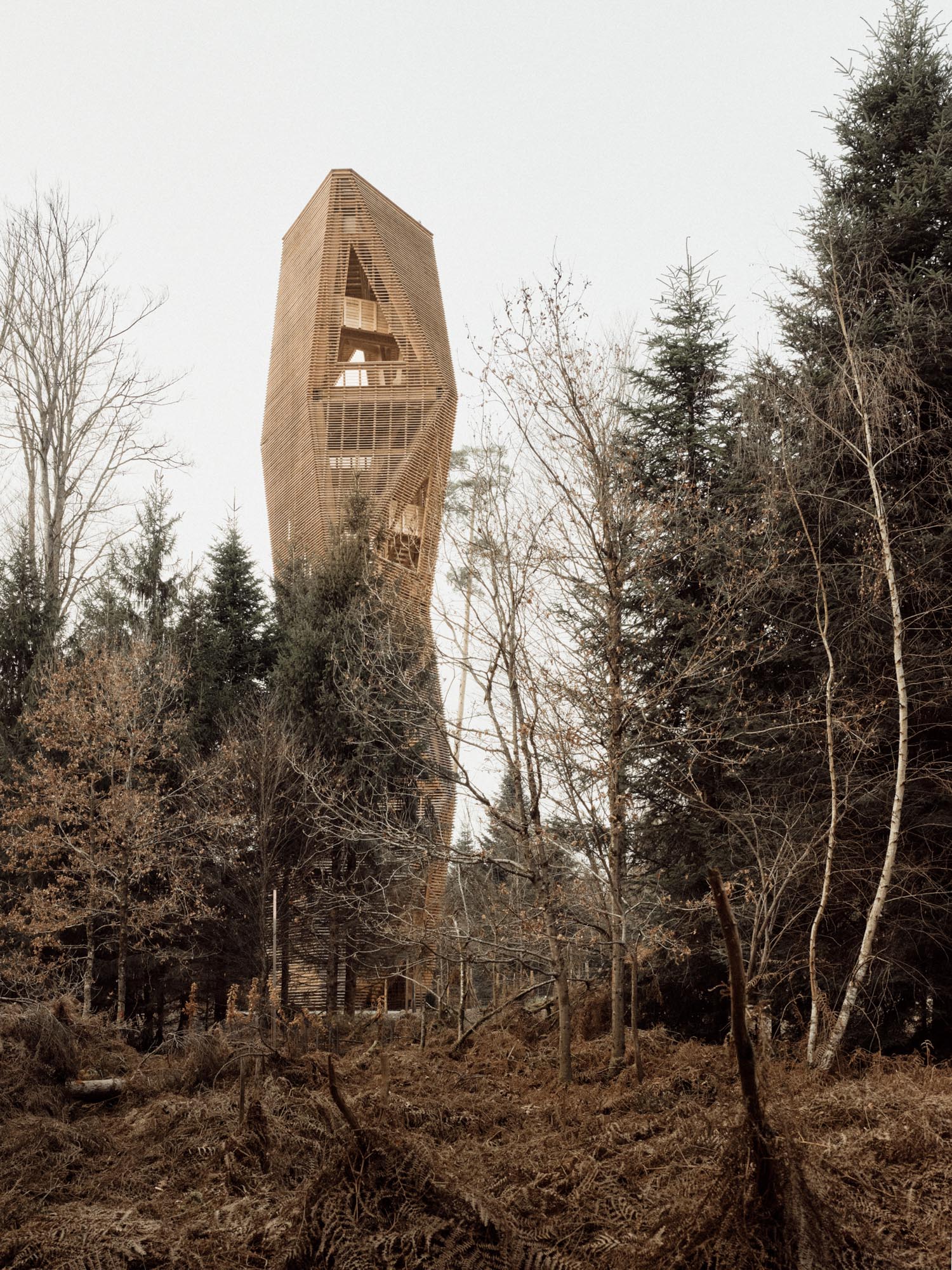 Luna Productions, Aussichtsturm Hardwald, 2023