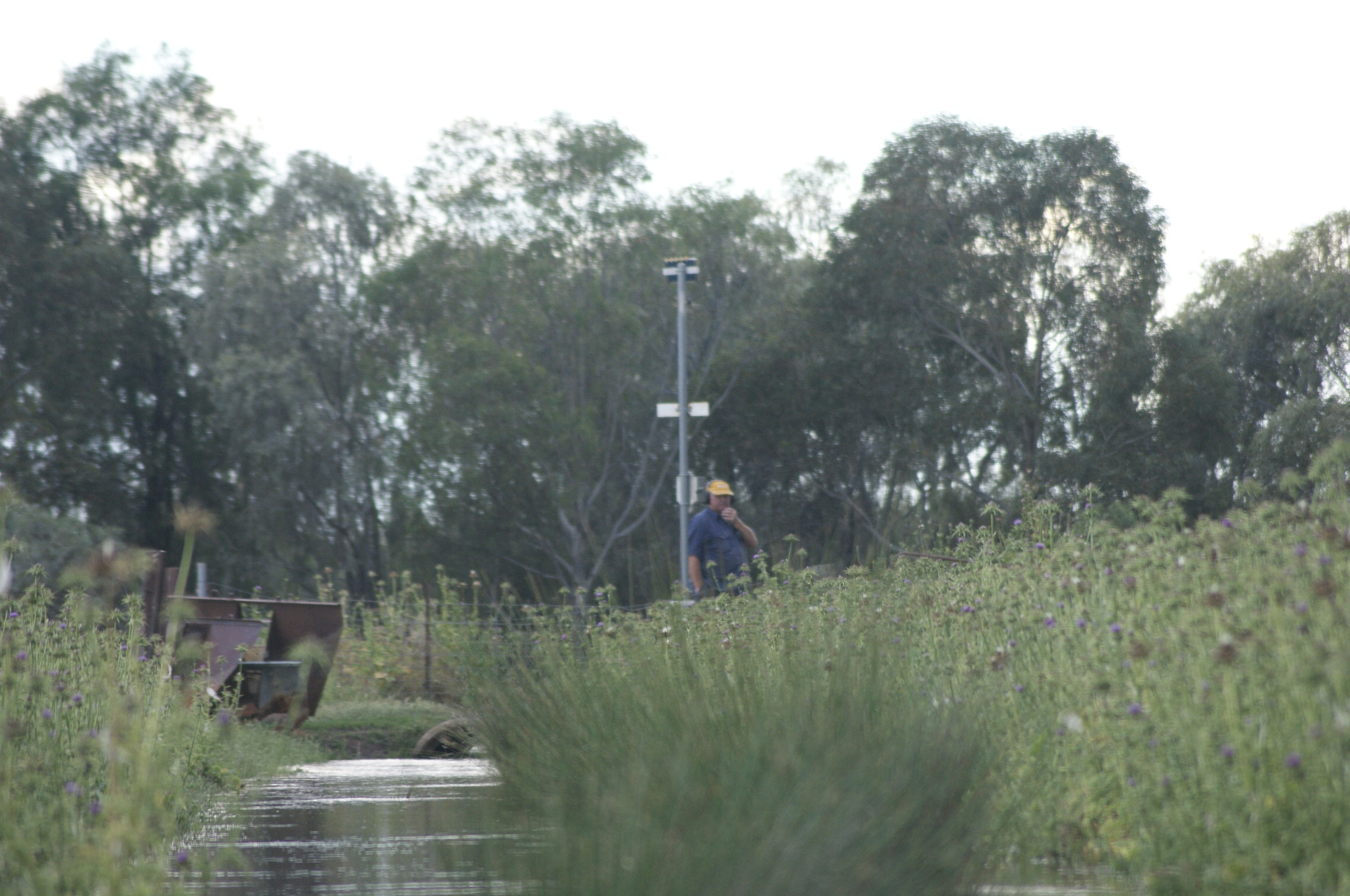  Randall Organic Rice Farm